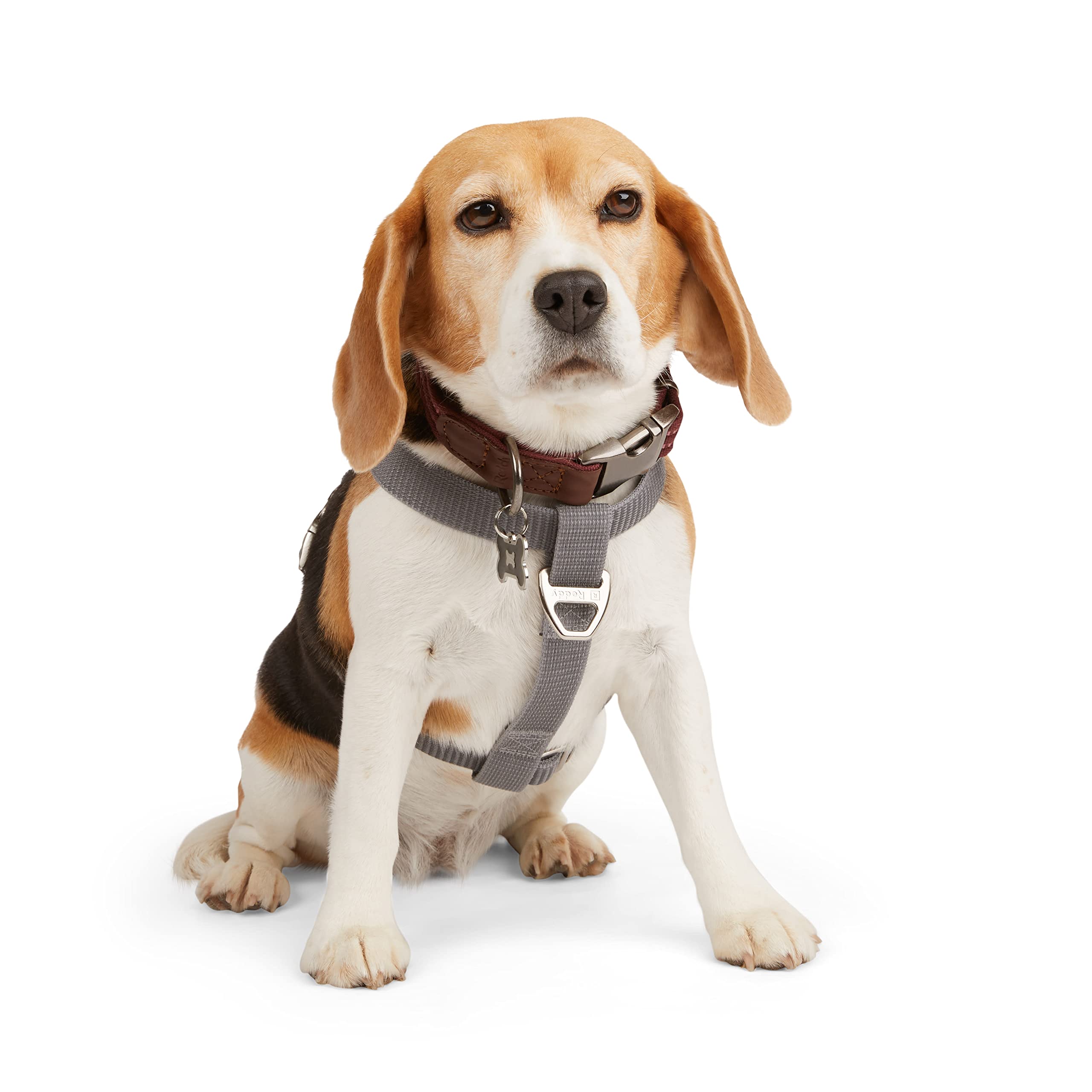 Reddy Grey Reflective Dog Harness X-Large/Xx-Large