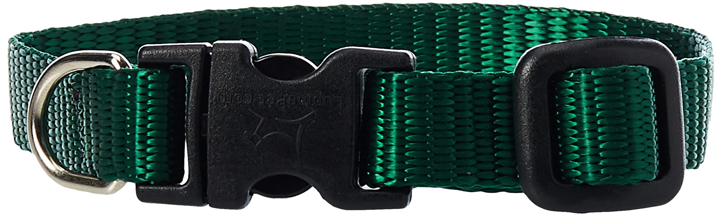 LupinePet Basics 1/2'' Green 6-9'' Adjustable Collar for Extra Small Dogs