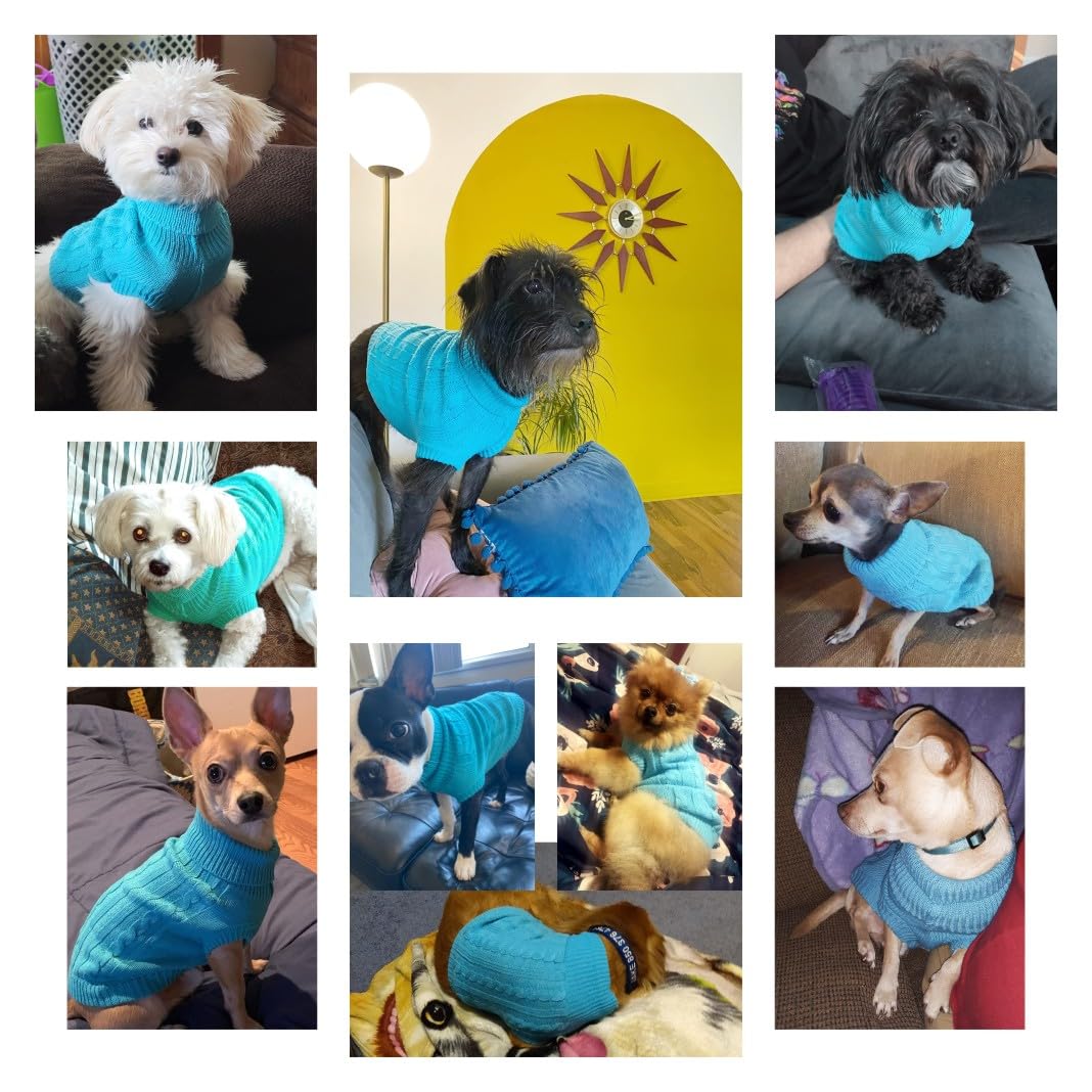 Small Dog Sweaters Knitted Pet Cat Warm Dog Sweatshirt Winter Clothes Kitten Puppy Sweater (X-Small,Sky Blue)