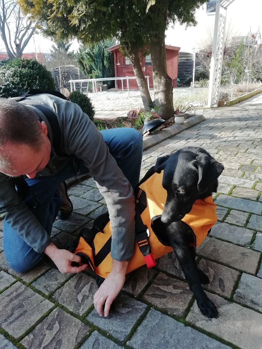 Singing Rock Laika Dog Harness - Nylon, Unique Size, Orange/Black, Model W0005YB09