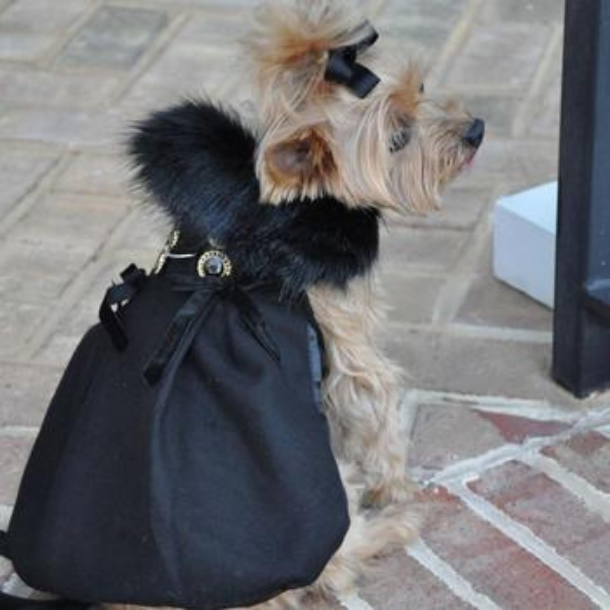 Doggie Design Black Wool And Silver Fur Collar Harness Coat Xs