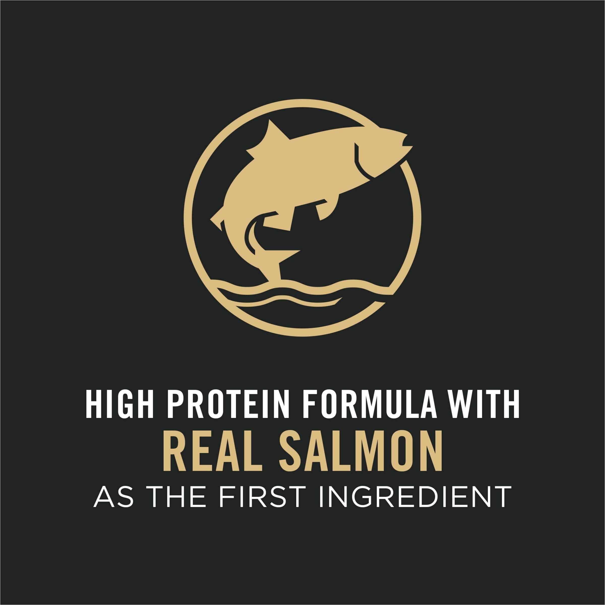 Purina Pro Plan Shredded Blend Salmon & Rice Dog Food with Probiotics - 33 lb. Bag