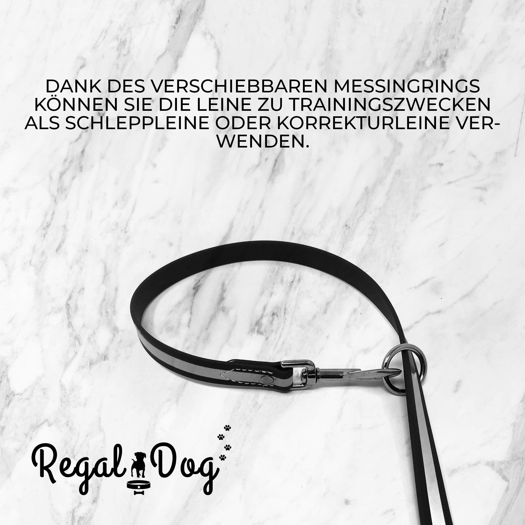 Regal Dog Products Large Orange Reflective Dog Collar And Leash Set - Waterproof Biothane Dog Collar With Heavy Duty Double Buck