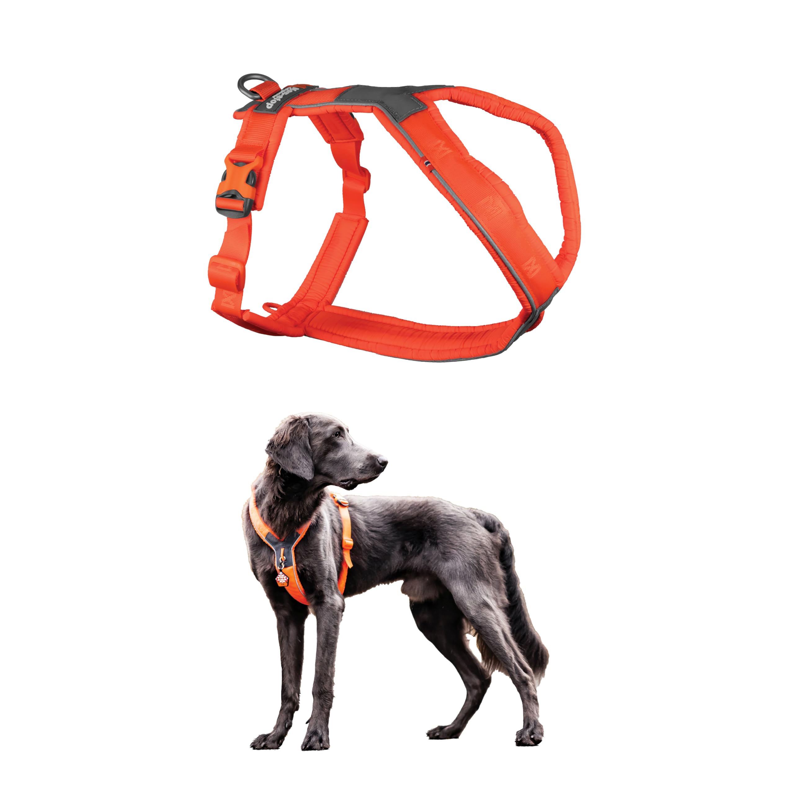 Non-Stop Dogwear Line Harness 5.0, Padded Dog Harness For Small Dogs, Made For Hiking, Sport And Everyday Active Life With 3 Lea