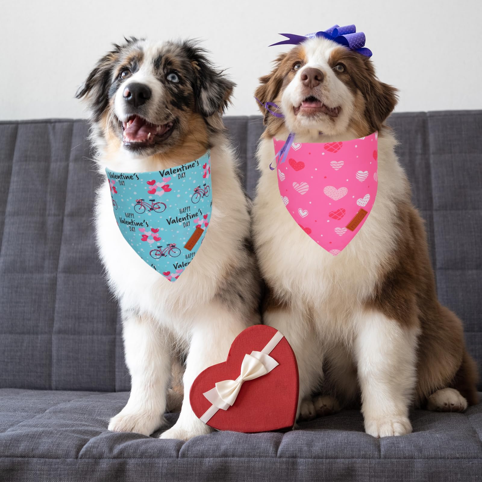 Ptdecor Valentine Dog Bandana,Bule And Pink Love Heart Design Reversible Dog Scarf, Triangle Valentine Bandanas For Medium Large