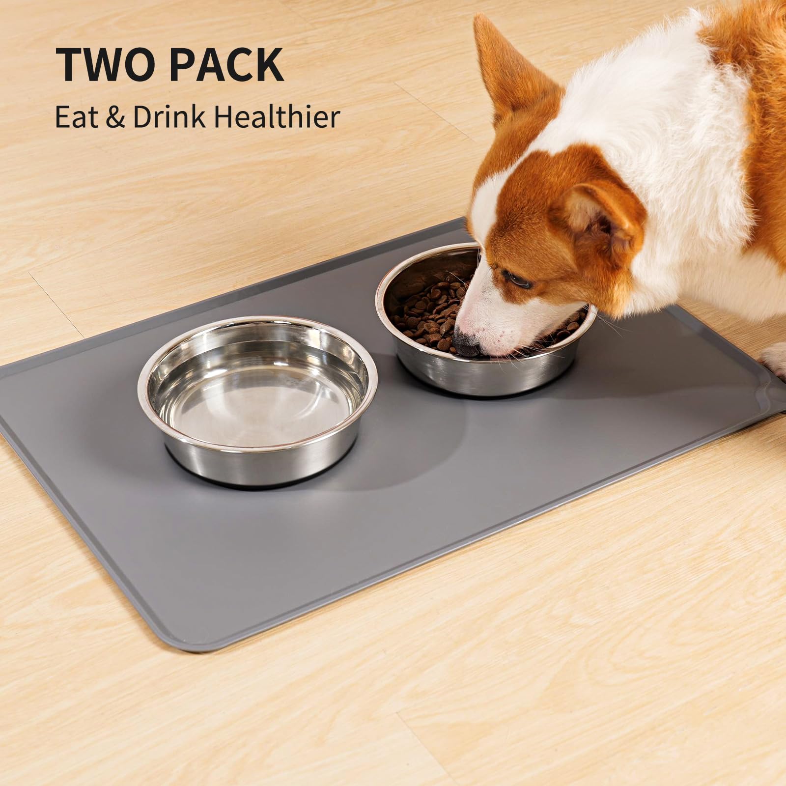 Taglory 2 Cup Stainless Steel Dog Bowls Set of 2 for Food and Water, Silicone Base Anti-Slip, Rust Resistant, Extra Thick Metal