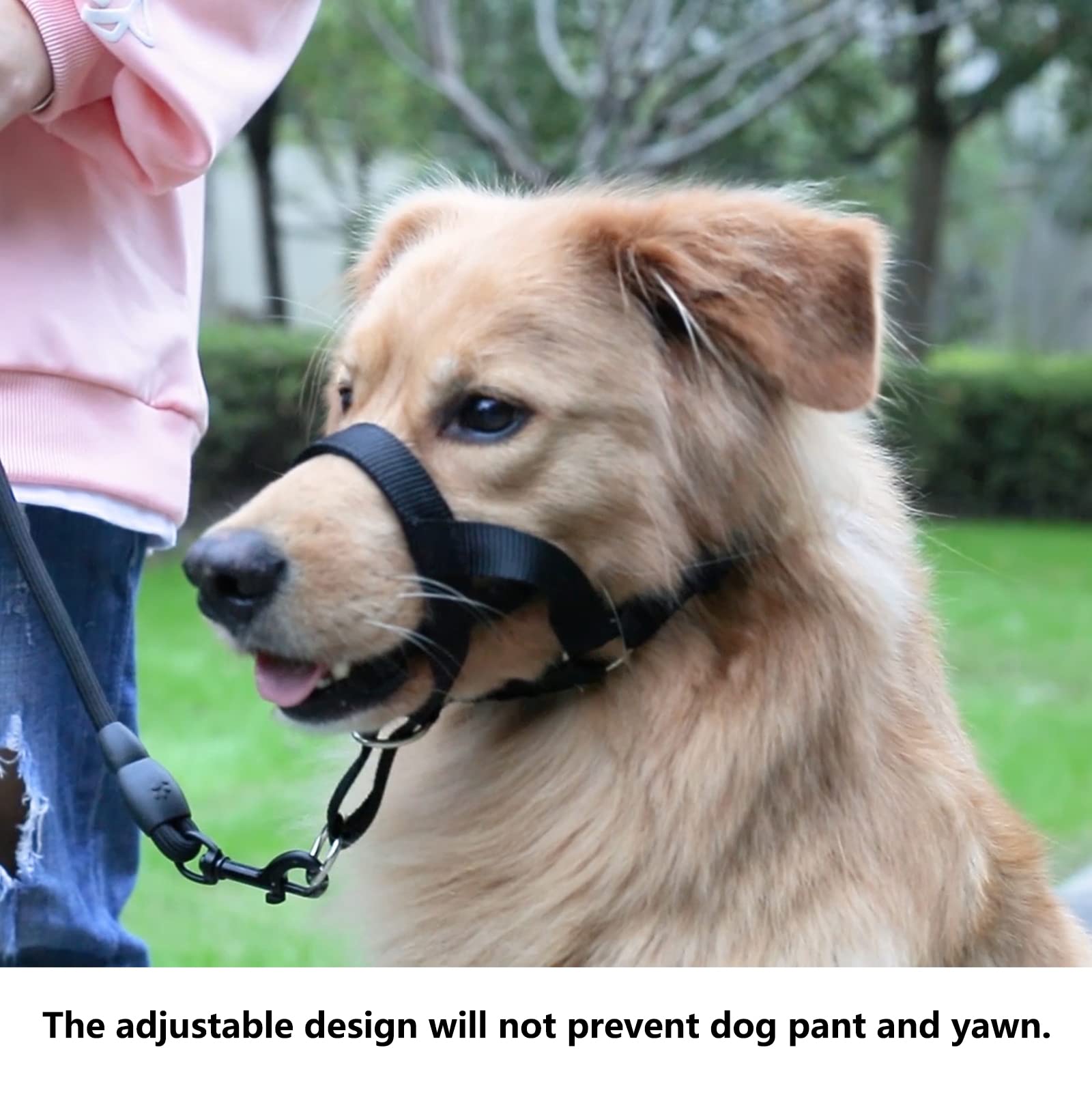 wintchuk Dog Head Collar with Soft Fabric, Head Harness Stops Dog Pulling, Head Leash for Small Medium Large Dogs Walking (M,Ora