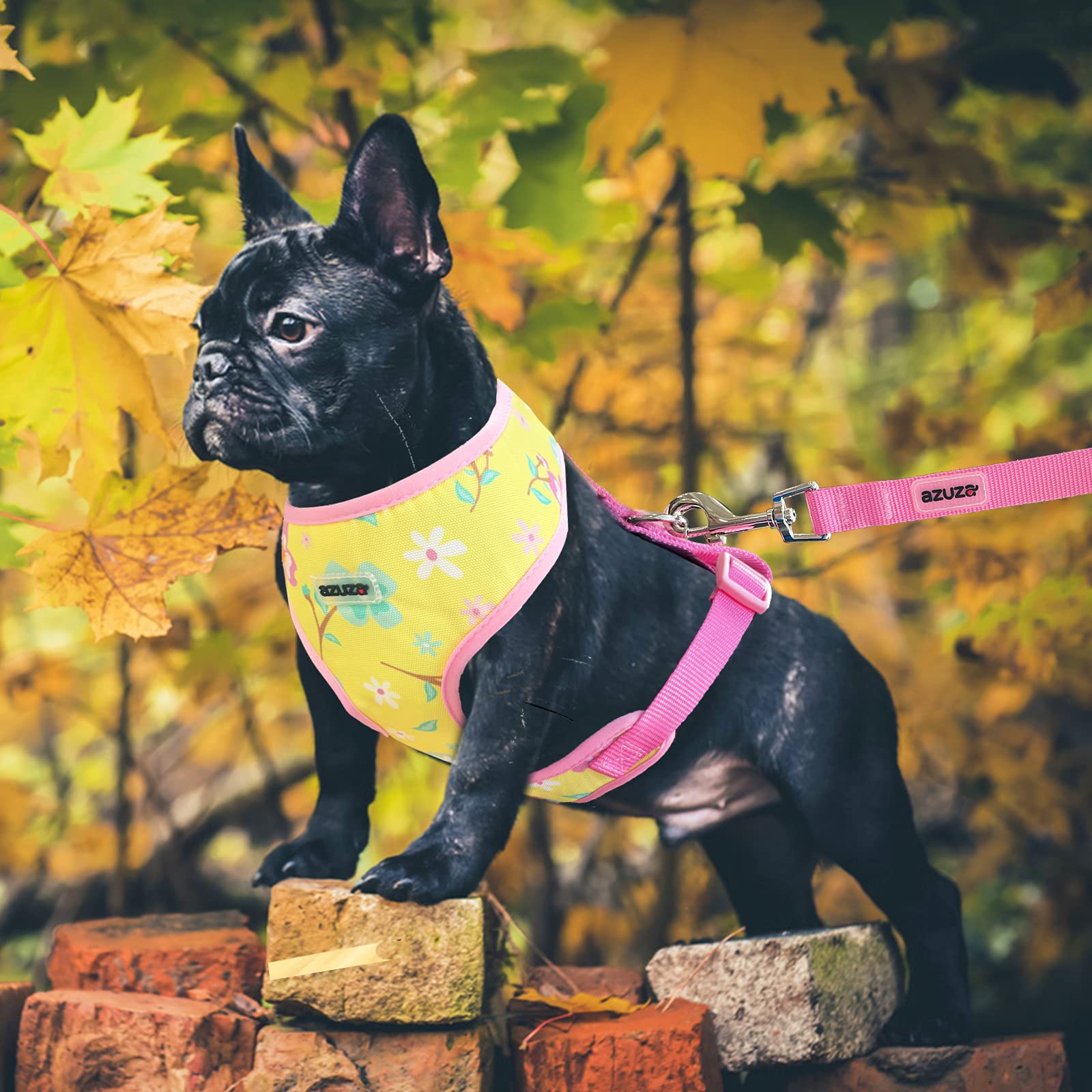 Azuza Dog Harness With Leash Set Cute Lemon Pineapple Flower Pattern Head-In Small Dog Harness Vests No Pull Comfort Padded Dog