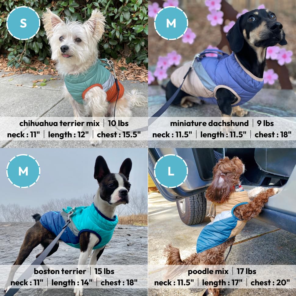 Gooby Mountaineer Dog Jacket - Quantum Blue, X-Small - Warm Zip Up Coat with Lift Handle and Dual O Ring Leash - Winter Water Re