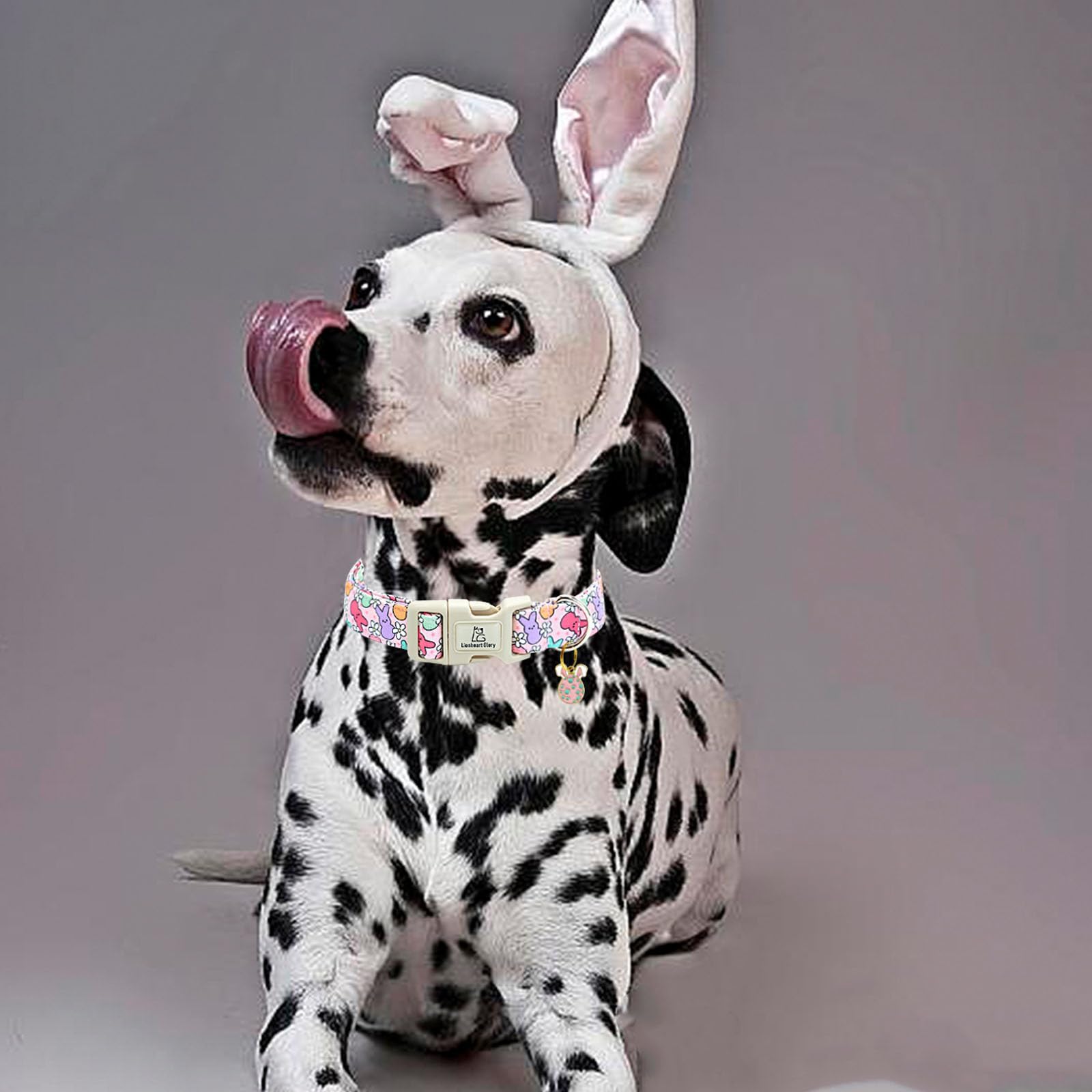 Lionheart Glory Easter Dog Collar Colorful Collar For Small Dog Collars Easter Egg Print Dog Collars Spring Female Or Male Pet G