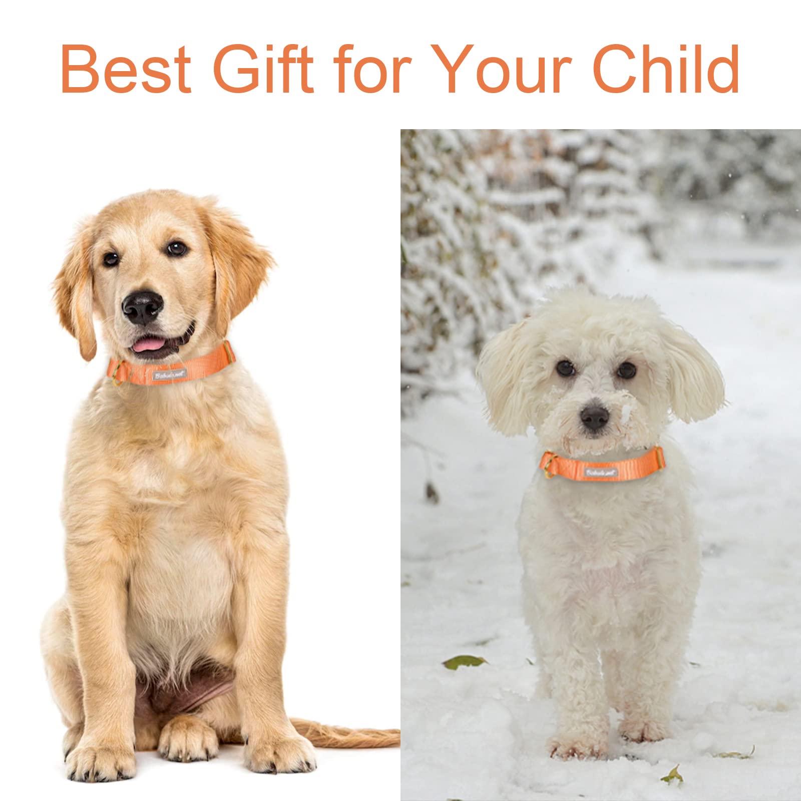 Babole Pet Nylon Dog Collar - Adjustable Orange Soft Webbing Dog Collars For Small Medium Large Dogs Boy Girl Puppy Collar With