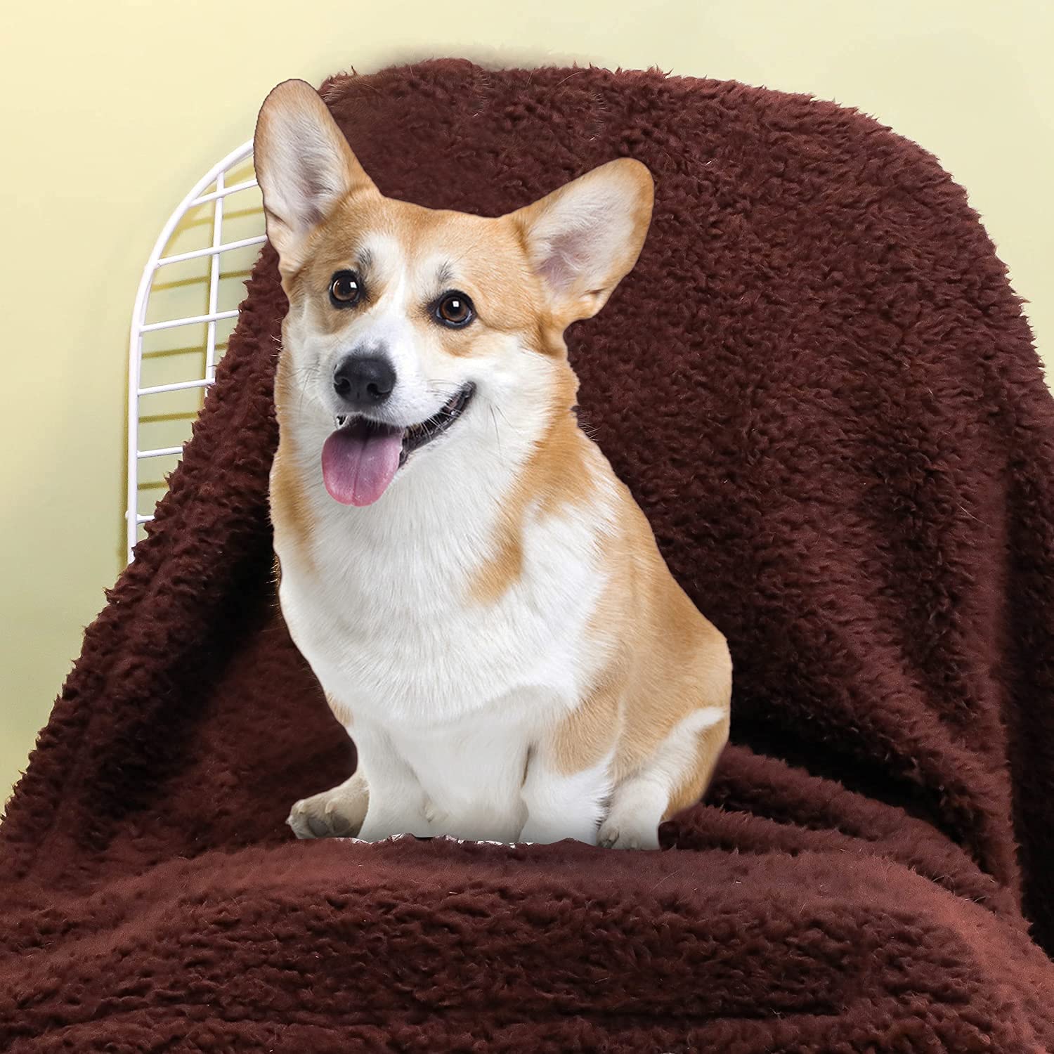 Xinsource 2 Pack Dog Blanket For Large Size Dogs Cats Soft Sherpa Fleece Pet Blanket Throw For Sofa, Couch Thick Durable Pet Bed