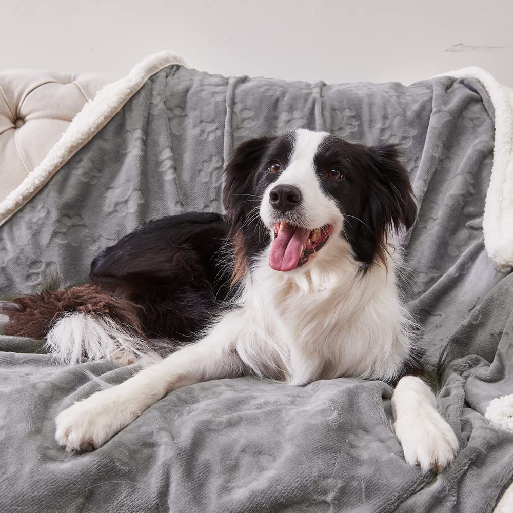 Qeils Dog Blankets For Medium Dogs - Waterproof Cat Blanket Washable - Sherpa Fleece Puppy Blanket, Soft Plush Reversible Throw