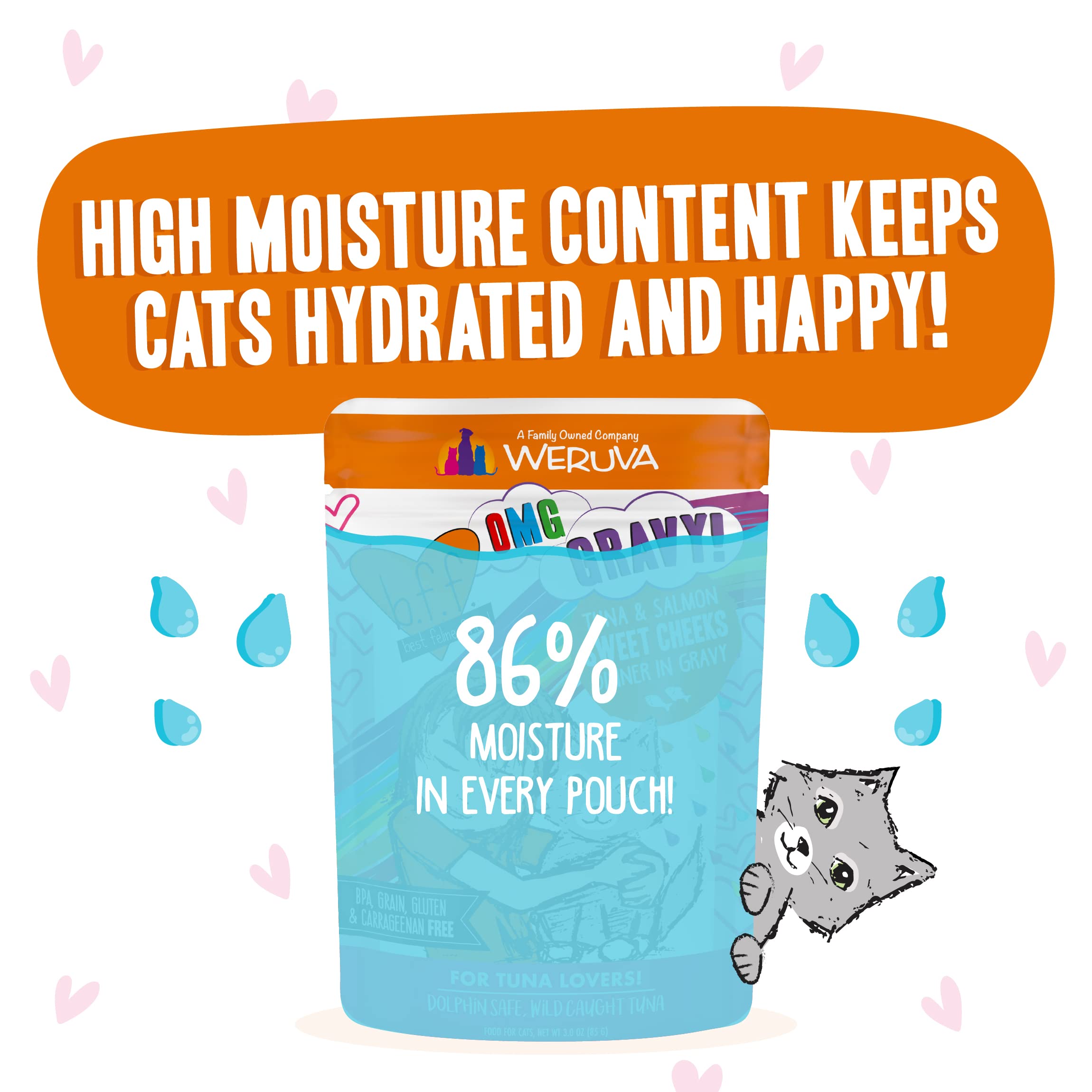 Weruva B.F.F. OMG - Best Feline Friend Oh My Gravy!, Tuna & Salmon Sweet Cheeks with Tuna & Salmon in Gravy Cat Food, 3oz Pouch