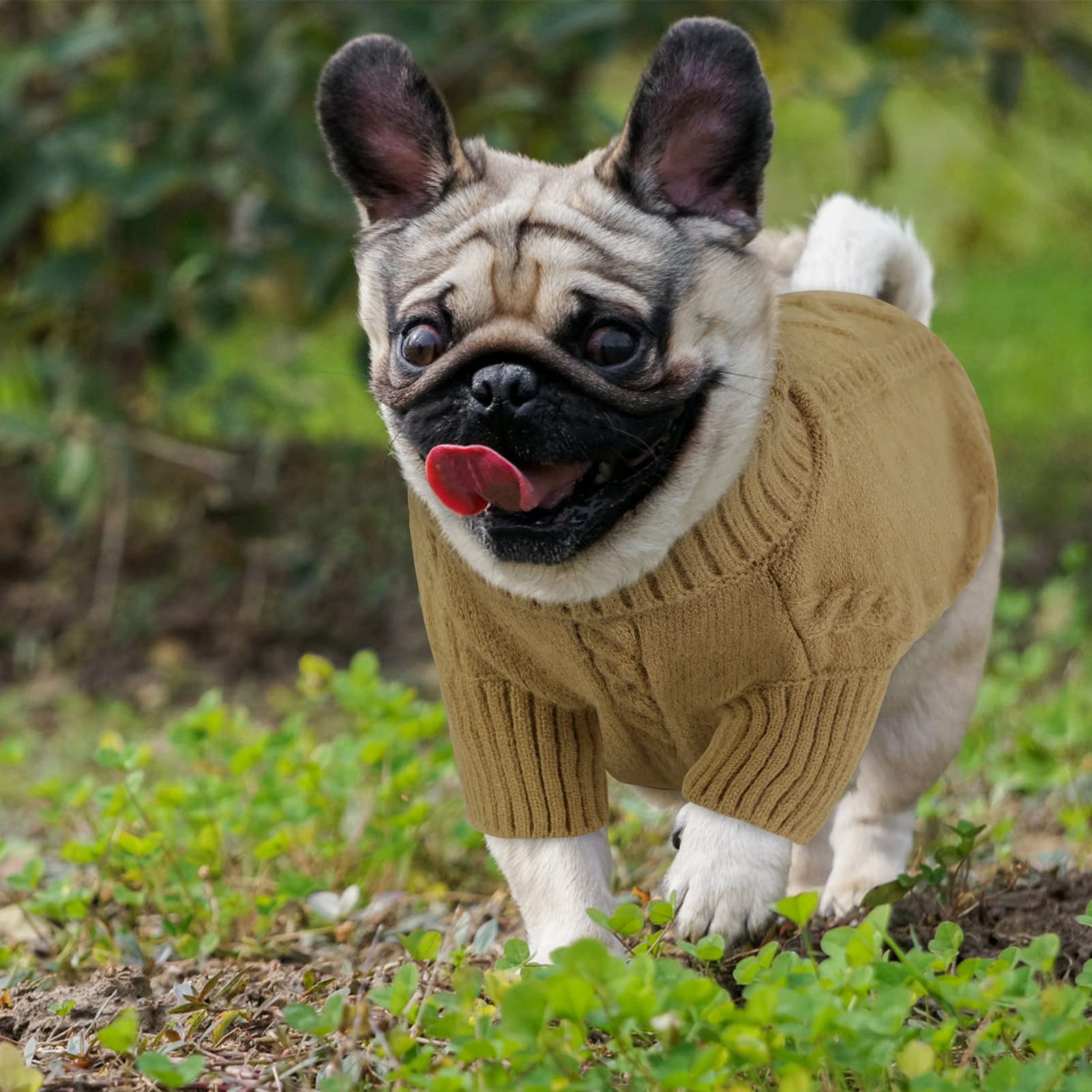 Queenmore Small Dog Pullover Sweater, Cold Weather Cable Knitwear, Classic Turtleneck Thick Warm Clothes For Chihuahua, Bulldog, Dachshund, Pug (Light Brown, X-Large)