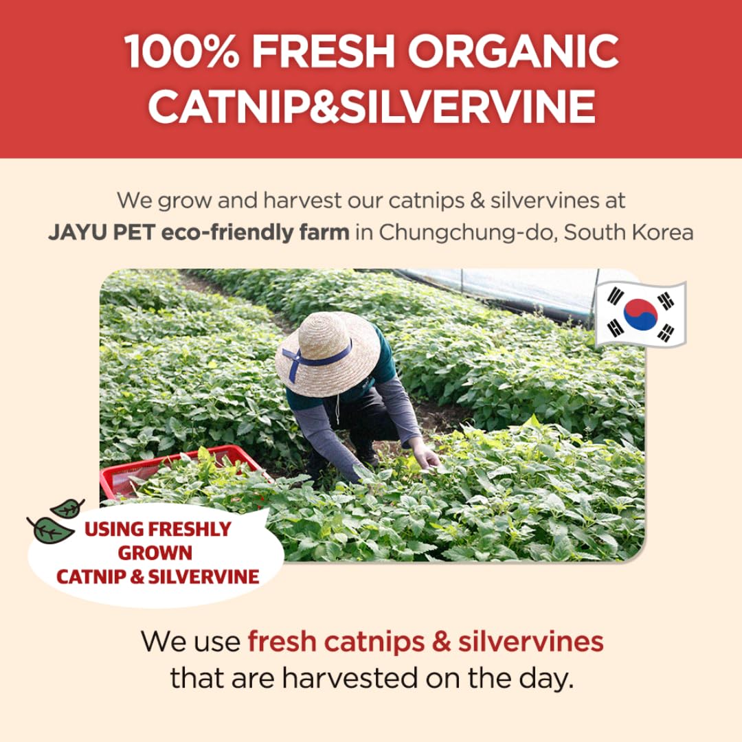 JAYU PET Cat Holic Ball and Spray - Handmade Kicker Ball Silvervine Inside (2.7 inch) & High Potency Essential Catnip Spray (1fl