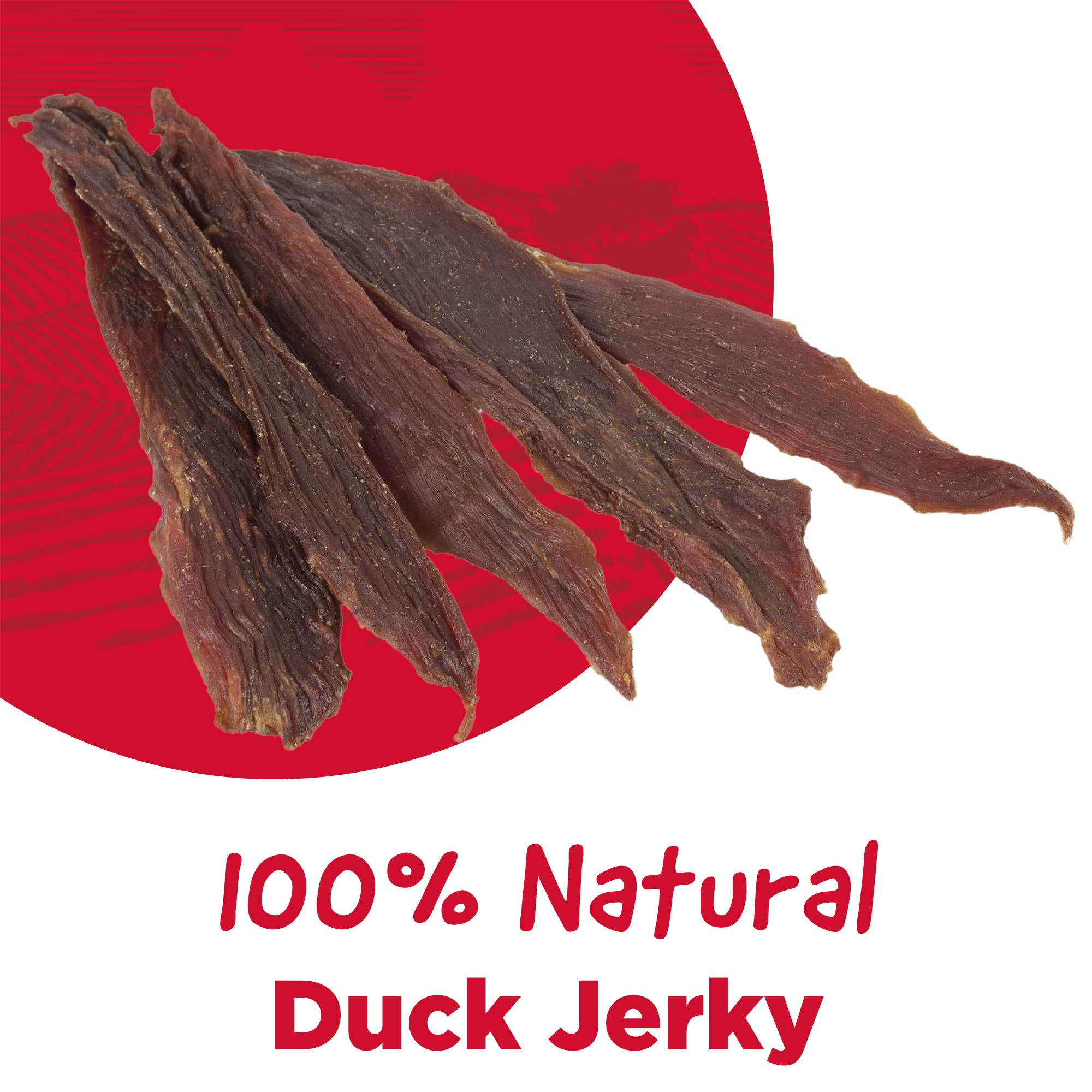 Country Kitchen Duck Jerky Tender Dog Treats, Made with Real Duck, High Protein, Low Fat, No Artificial Colors, 3 oz