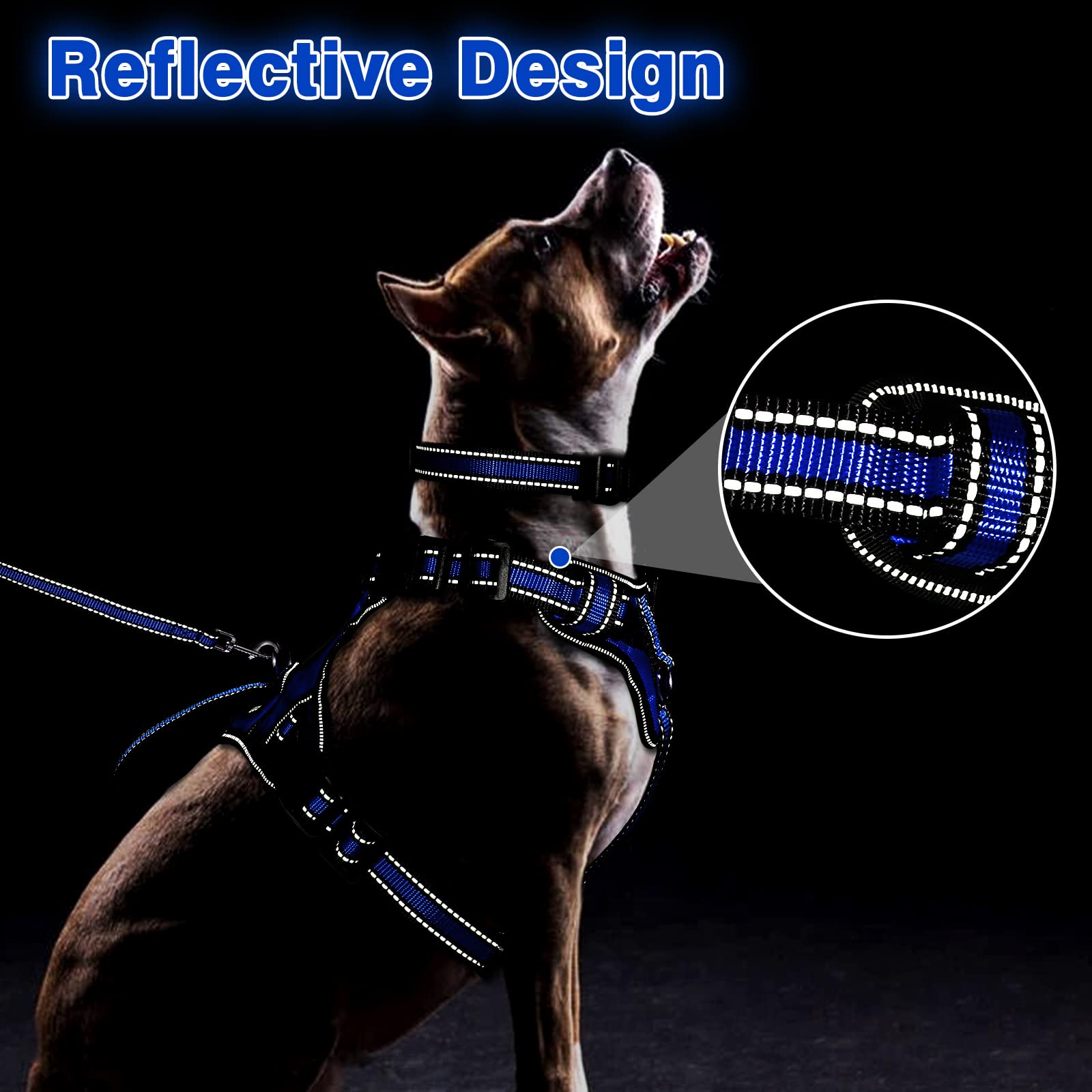 Winsee All-In-One Reflective Dog Harness, Collar & Leash Set, No Pull With Adjustable Buckles, X-Large, Dark Blue