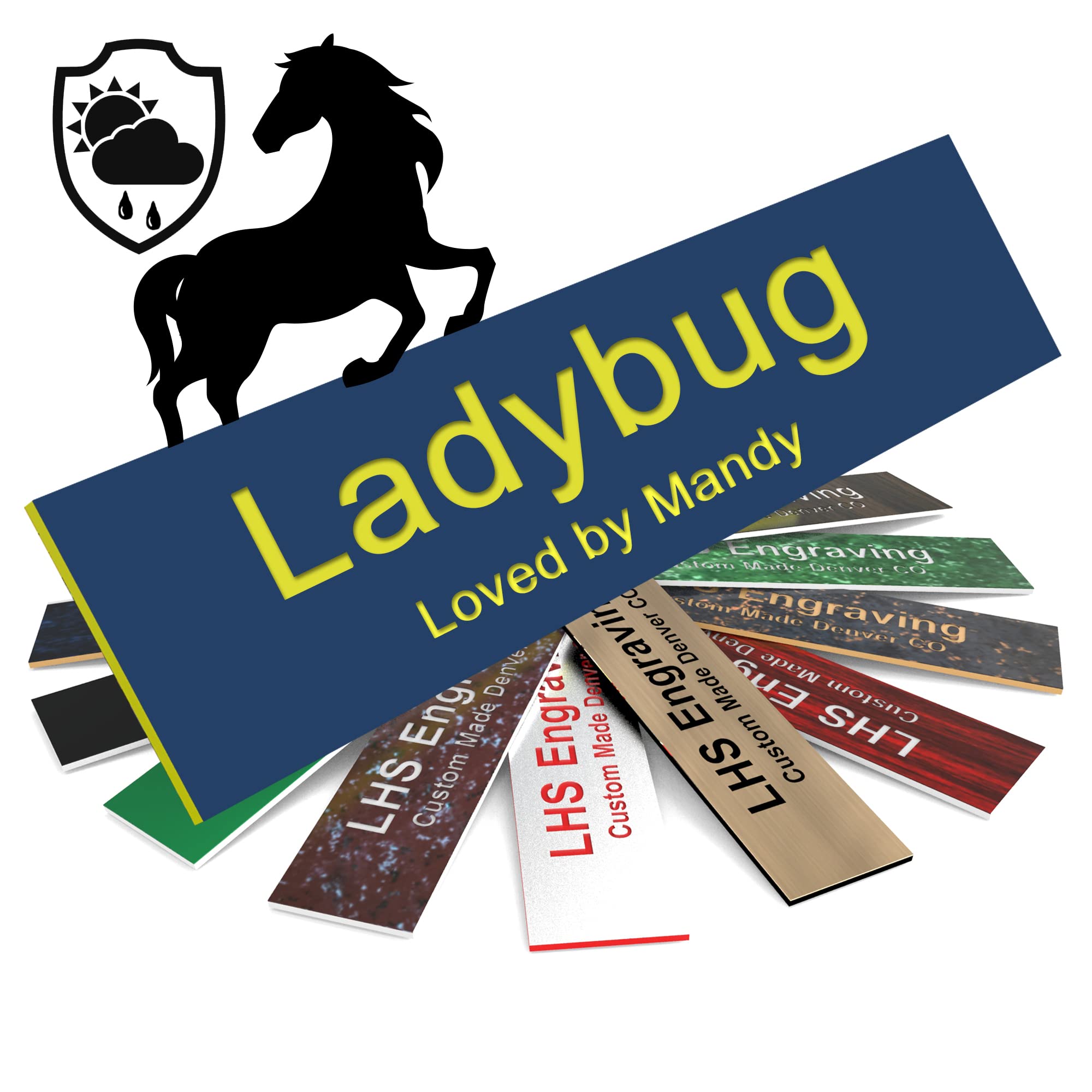 Lhs | Horse Stall Name Plate, 2X8 Personalized Stall Signs, Uv Protected, All Weather Adhesive, Hanging, Mounting Or Other, Blue
