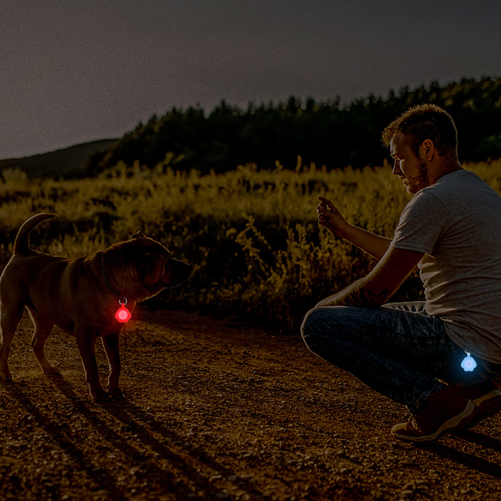 Novkin Dog Light 2-Pack - USB Rechargeable, Color Changing, IP67 Waterproof, 4.5cm x 4.5cm x 7cm, White