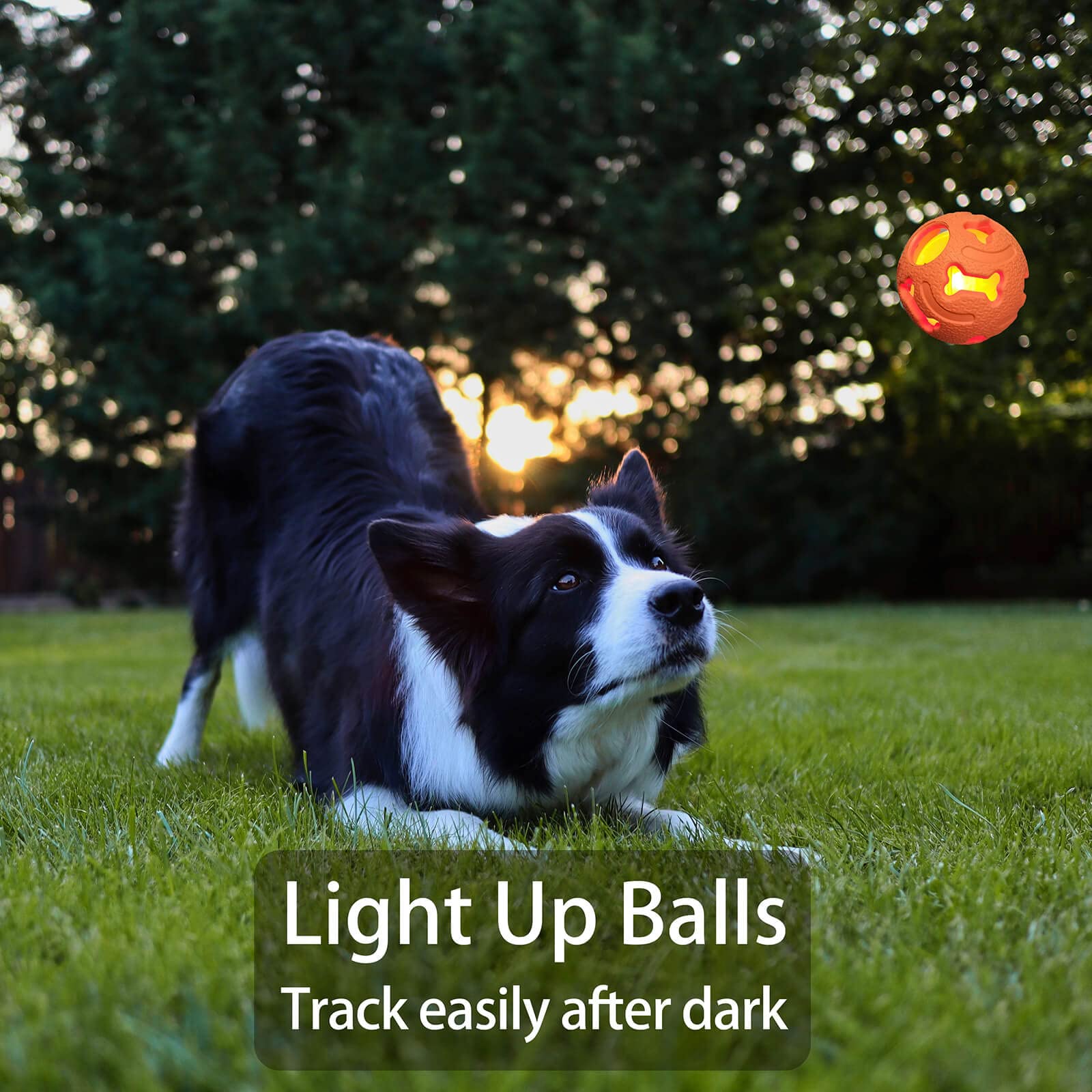 Leejec Interactive Light Up Dog Balls, 2.5" Durable Rubber Fetch Toys, 3-Pack - Orange, Green, Blue for Medium & Small Breeds