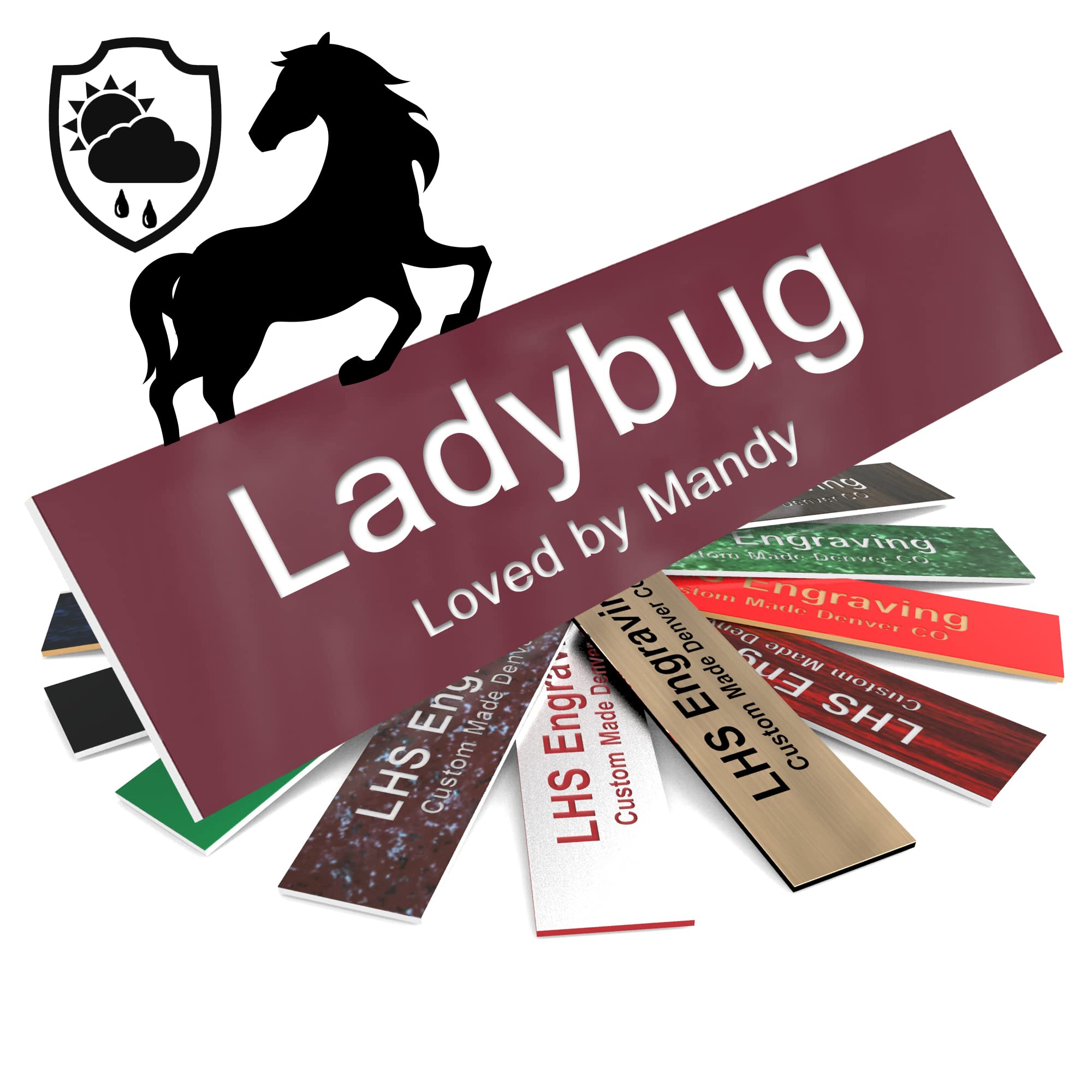 Lhs | Horse Stall Name Plate, 2X8 Personalized Stall Signs, Uv Protected, All Weather Adhesive, Hanging, Mounting Or Other, Burg