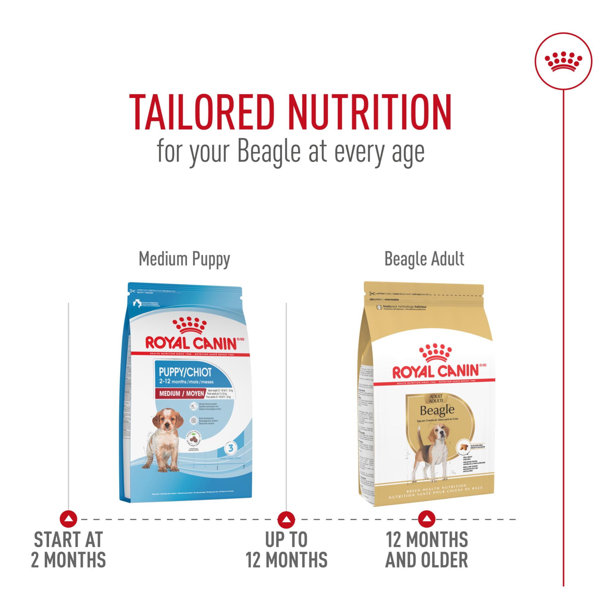 Royal Canin Beagle Adult Dry Dog Food, 6 lb bag