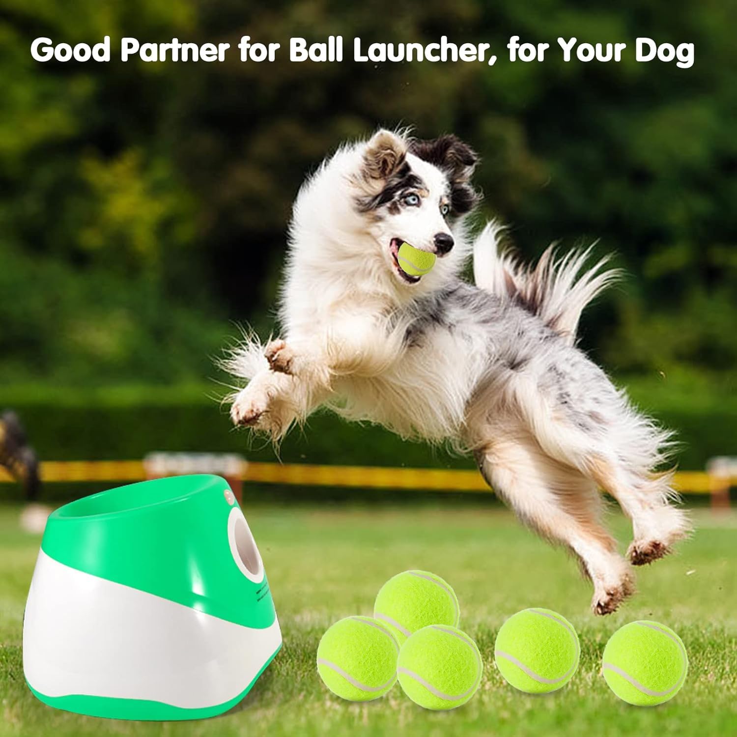Mekaple 6 Pack Mini Tennis Balls For Pet Playing Fecth, 2 Inch Dogs Training Tennis Balls For Small Size Dogs, Interactive Dog P