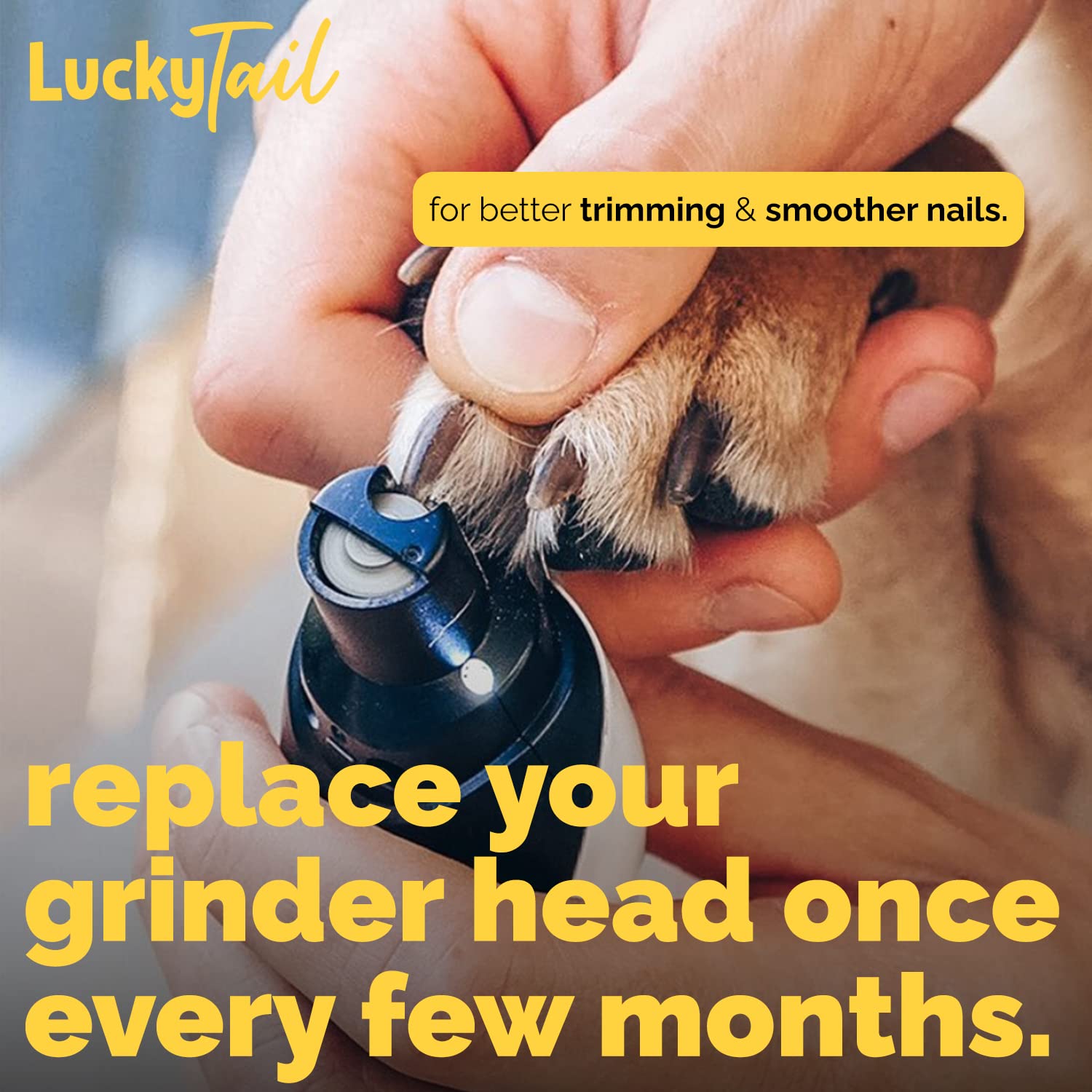 Luckytail - Dog Nail Grinder - Regular - Replacement Head - For Small, Medium & Large Dogs - Premium Quality - Diamond Tip Drill