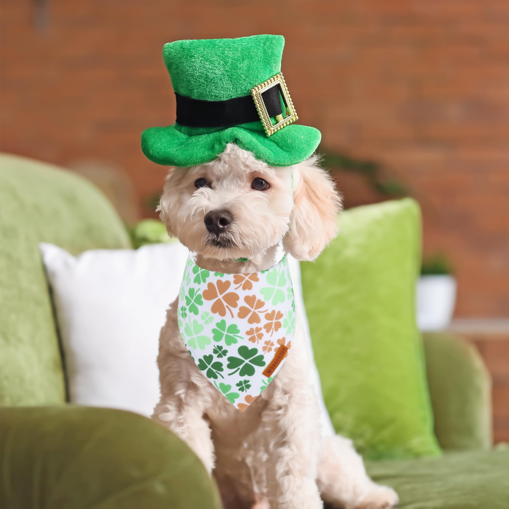 Adoggygo St. Patrick'S Day Dog Bandana, Green Shamrock Scarf, Multi Size Offered, Saint Patrick Day Bandanas For Small Dogs (Sma