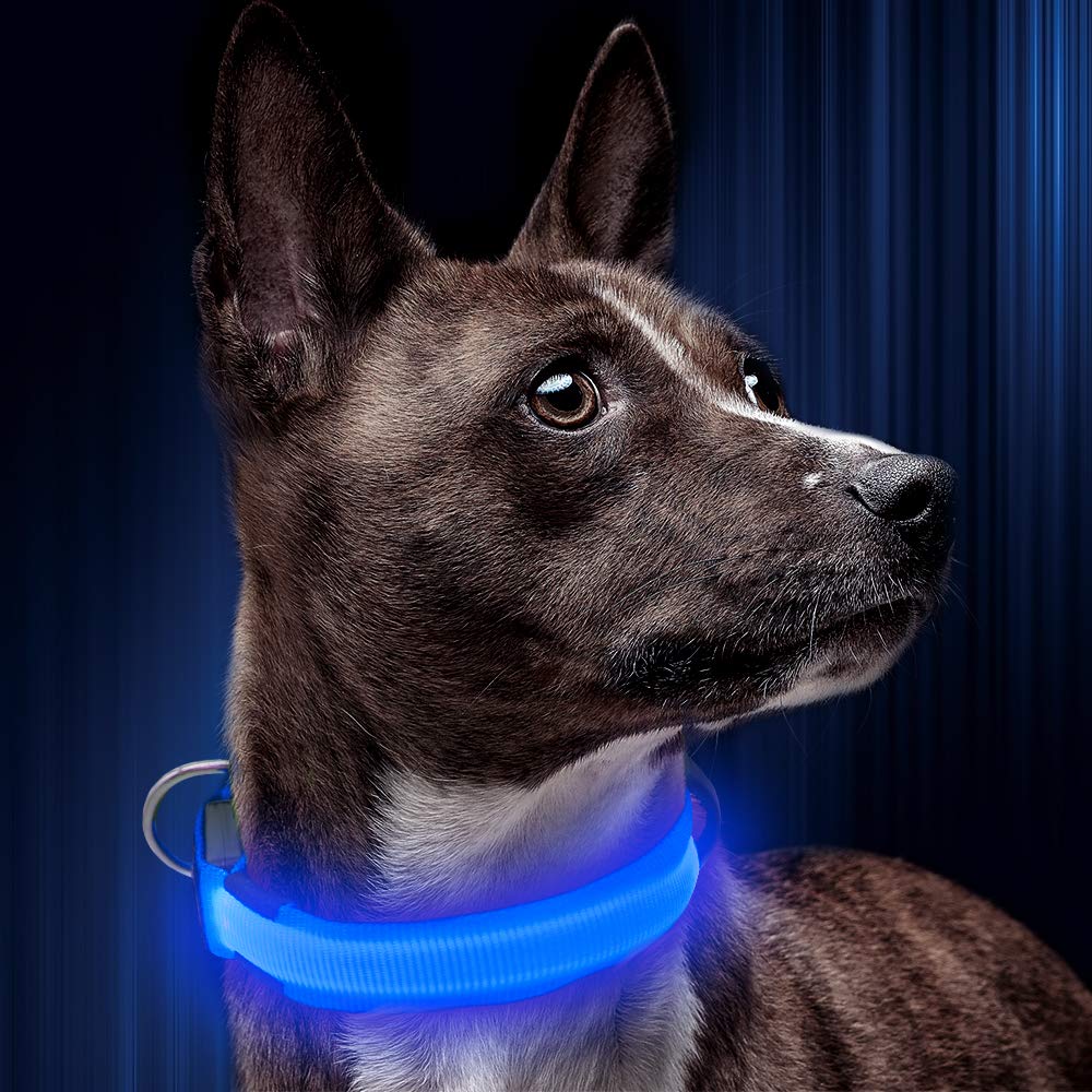 Illumifun Led Dog Collar, Usb Rechargeable Lighted Up Dog Collar, Adjustable Nylon Webbing Glowing Pet Safety Collar For Your Dogs (Blue, Medium)