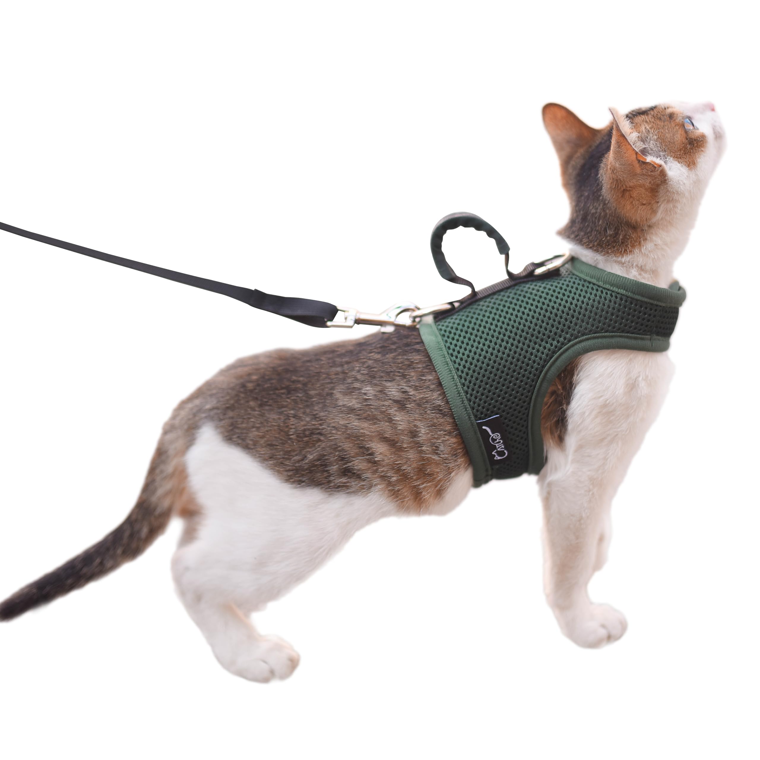 Cat Harness And Leash For Walking Escape Proof Breathable Mesh Fabric, Solid Green, Large, Adjustable Cat Walking Jackets With H