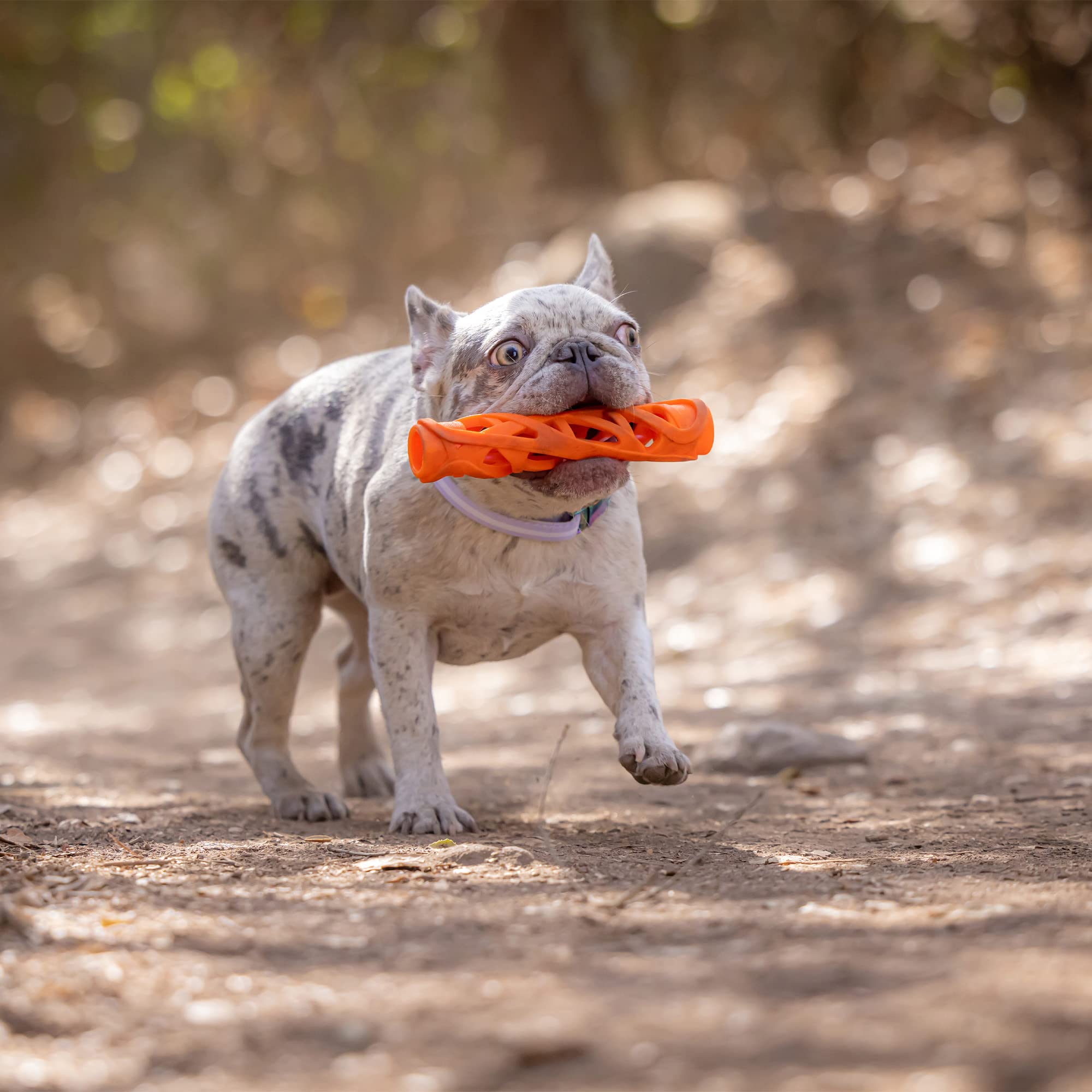 Chuckit! Air Fetch Stick Dog Toy, Large, Orange