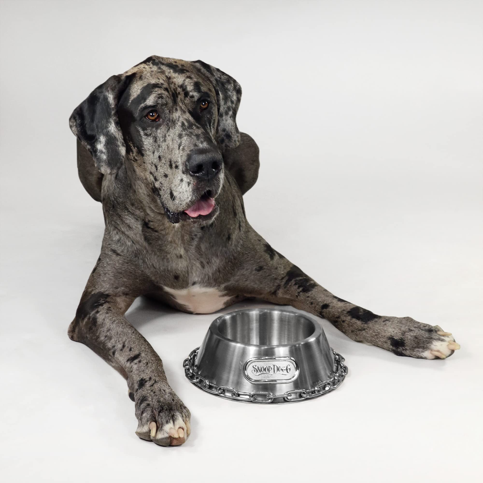 Snoop Doggies Doggs Deluxe Off The Chain Pet Bowl, Steel, Large