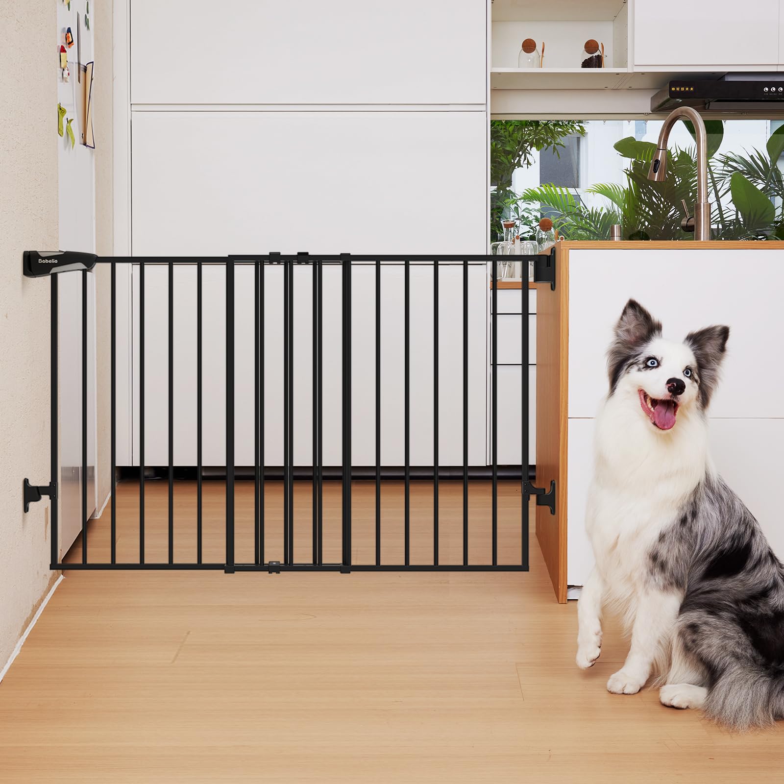 Babelio 31.5-55' No Bottom Bar Baby Gate Extra Wide, 2-In-1 Auto Close Dog Gate For The House, Stairs And Doorways, With Large Walk Thru Door, Black