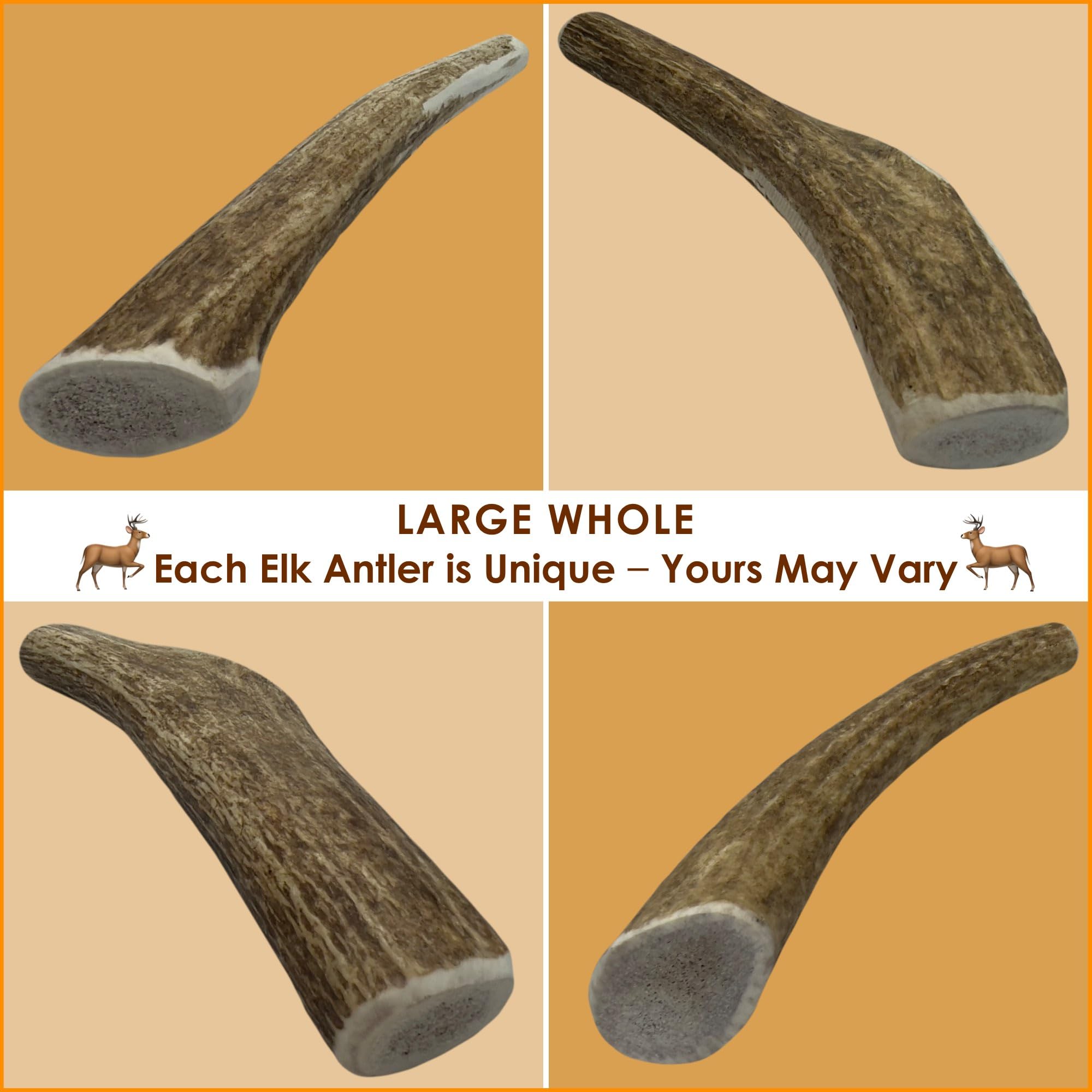 Deluxe Naturals 1-Pack Large Whole Elk Antler Dog Chews (6 to 9+ in) - Long Lasting Natural Dog Bones for Medium to Large Dogs (