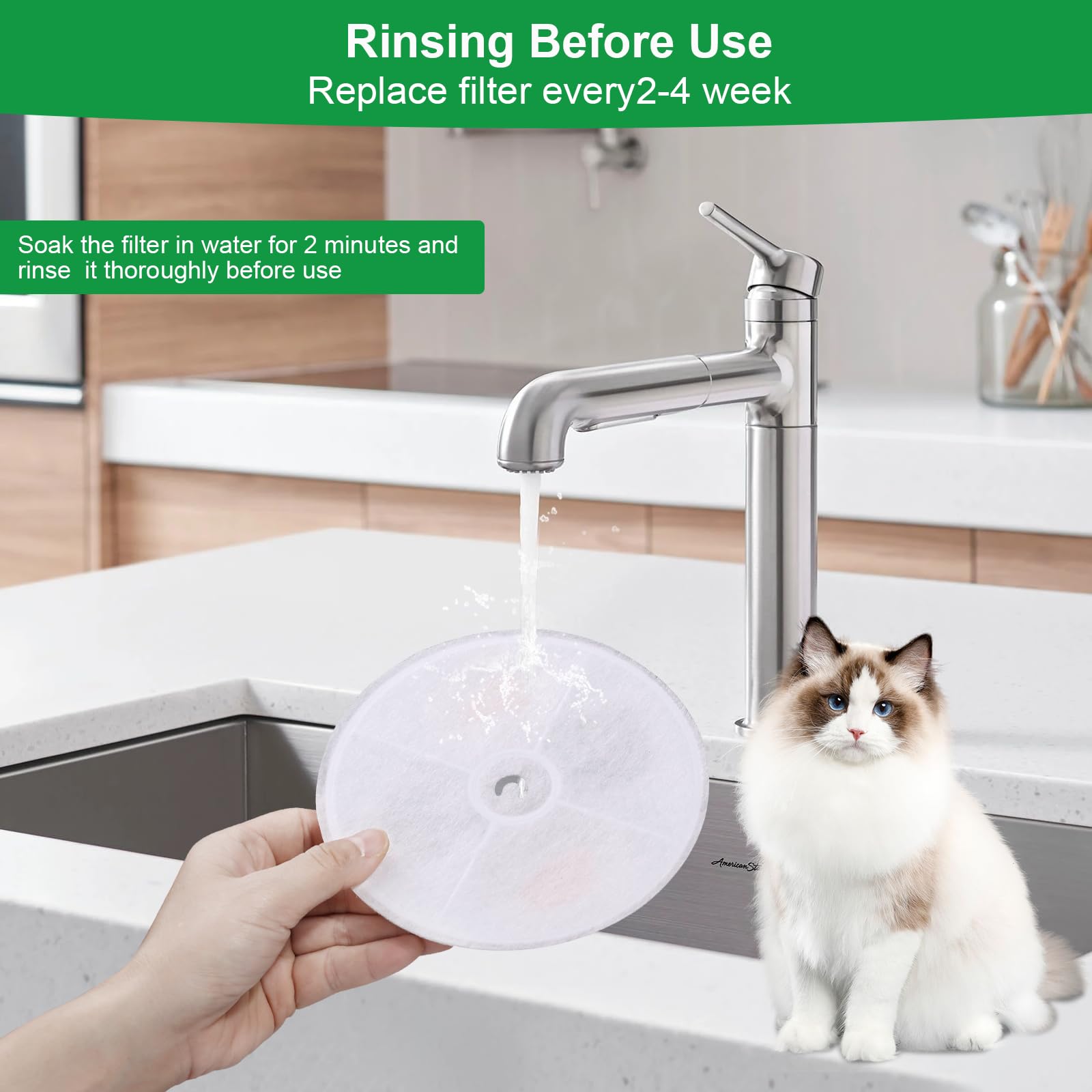 Carcent Upgraded Filter Units 3.0 for PET Cat Water Fountains - 10 Pack, White, Model 103-17-10, Compatible with E versweet Series