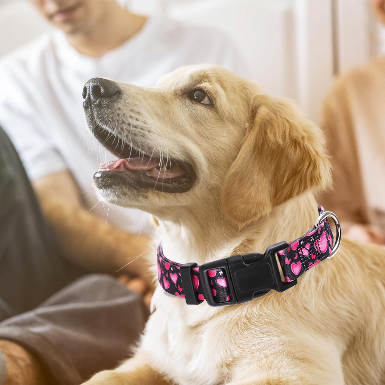 Dog Collar For Small Dogs With Love Heart Patterns For Girl & Boy Dogs, Pink Dog Collar Adjustable Heavy Duty Nylon Collar With