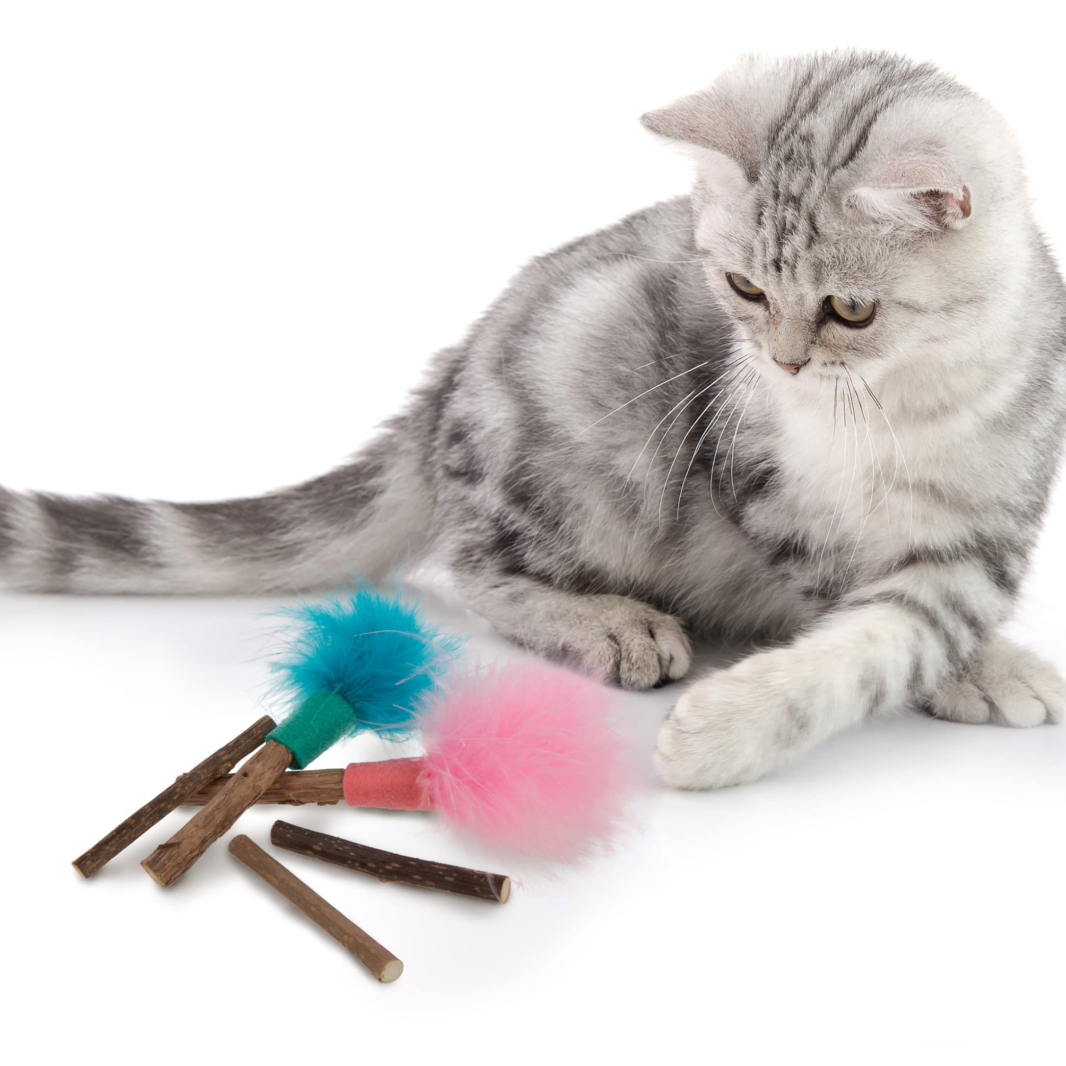 SmartyKat (5 Count) Silly Silver Stix Natural Silvervine Cat Toys - Blue/Pink, One Size