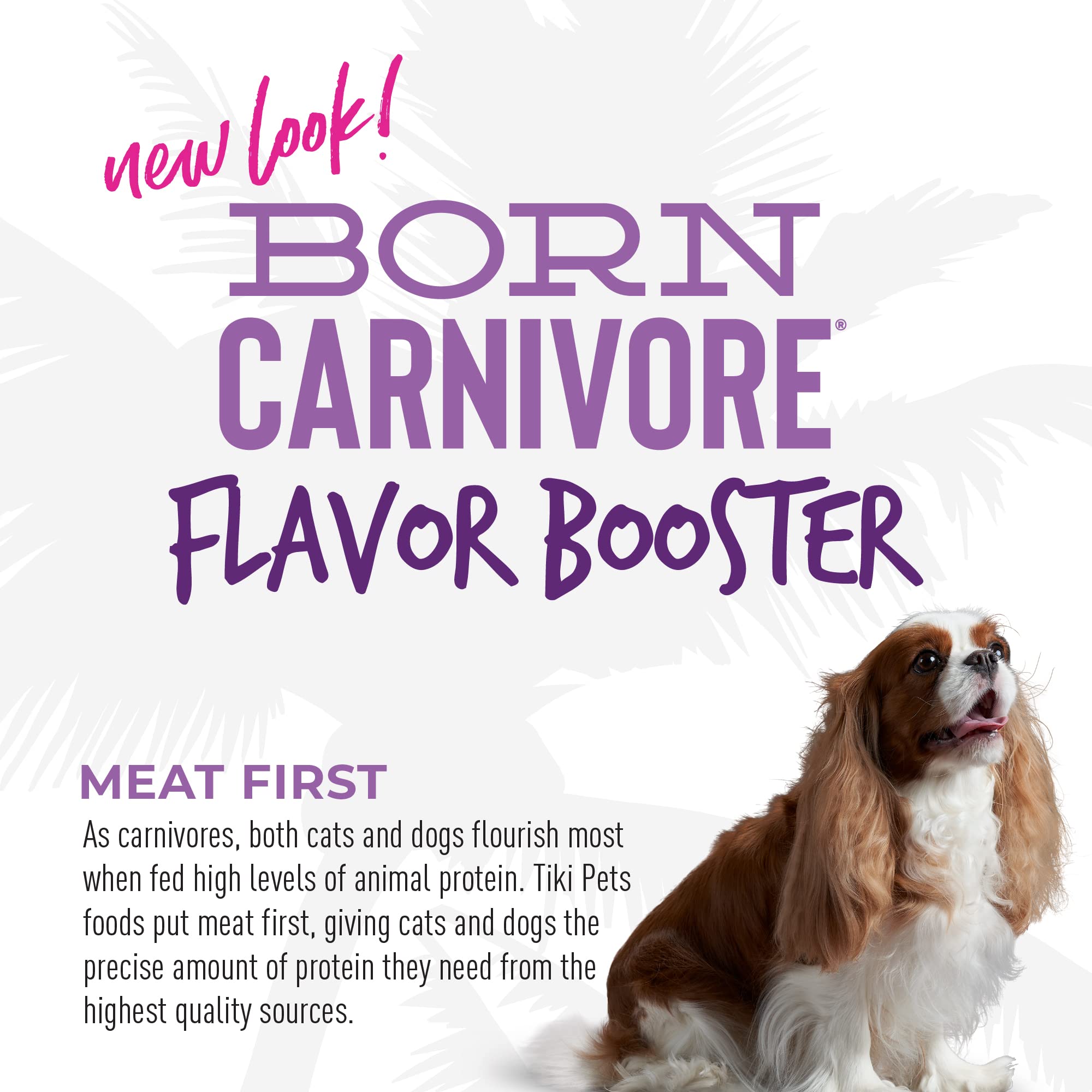 Tiki Dog Born Carnivore Flavor Booster, Lamb Recipe Bisque, Grain Free Meat Based Treat, Meal Topper for All Dog Breeds and All