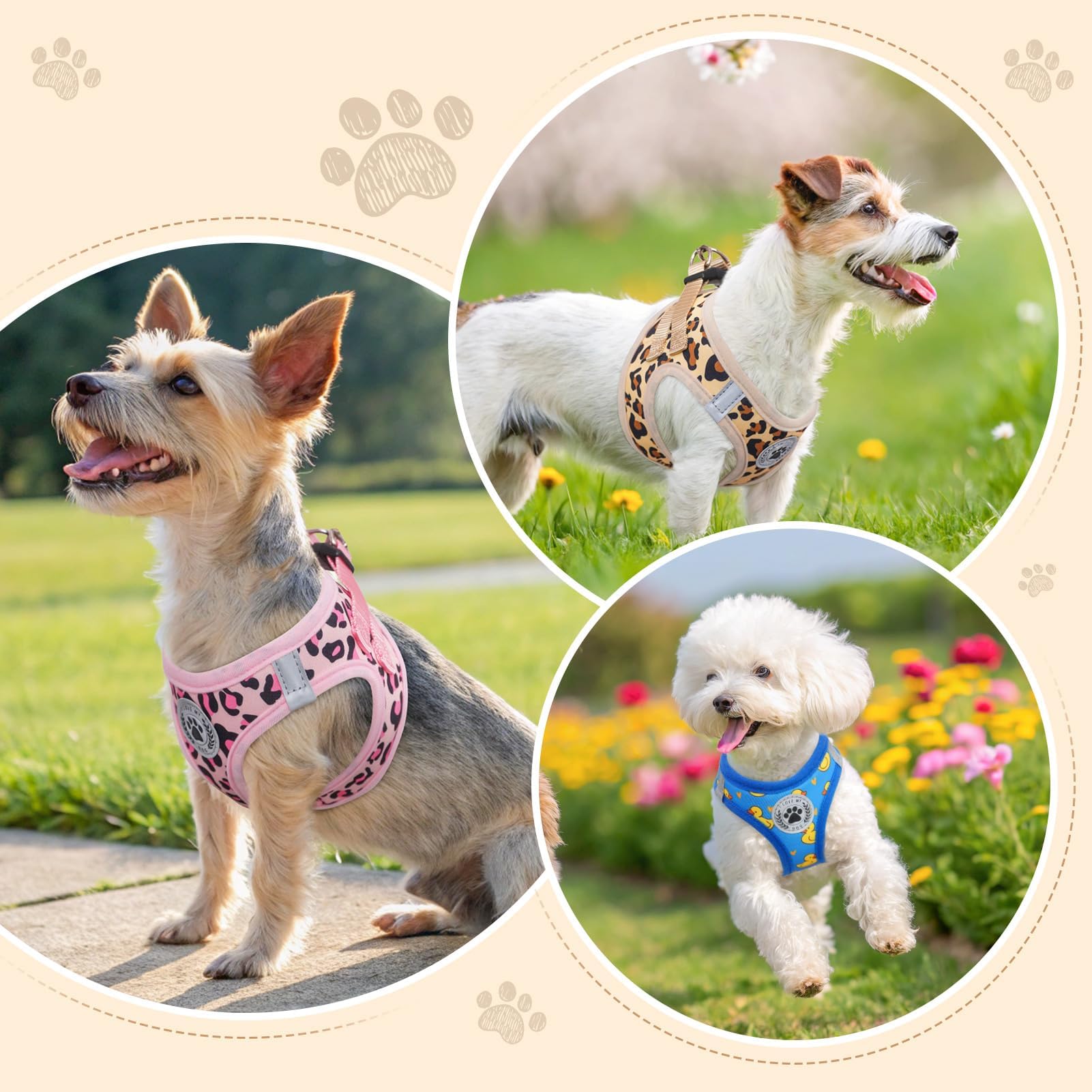 BEAUTYZOO Step in Dog Harness and Leash Set,Reflective Dog Harness No Pull No Choke Puppy Harness for Small Medium Dogs Cats,Sof
