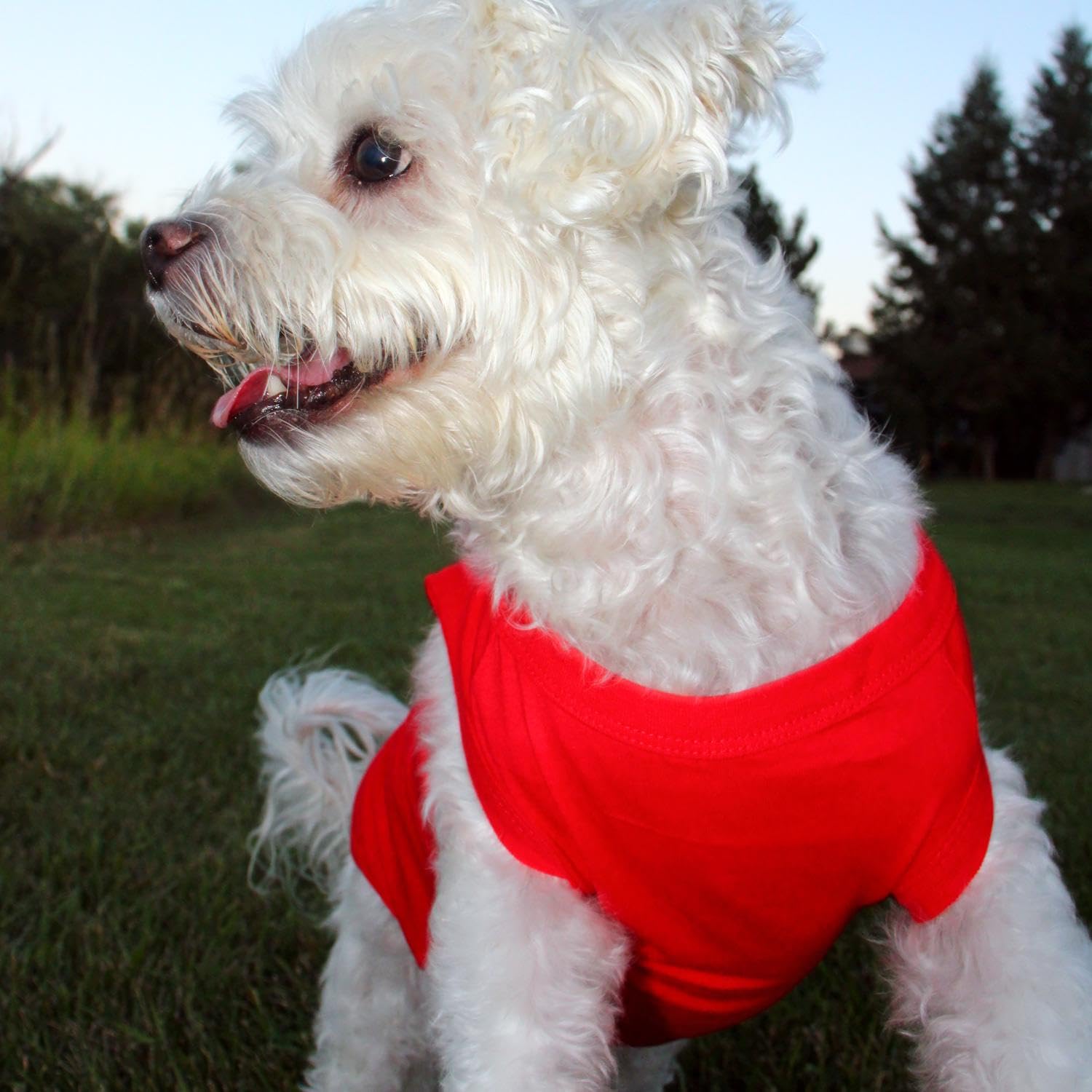 Doggie Design Cotton Dog Tank (Flame Scarlet Red, Xl)