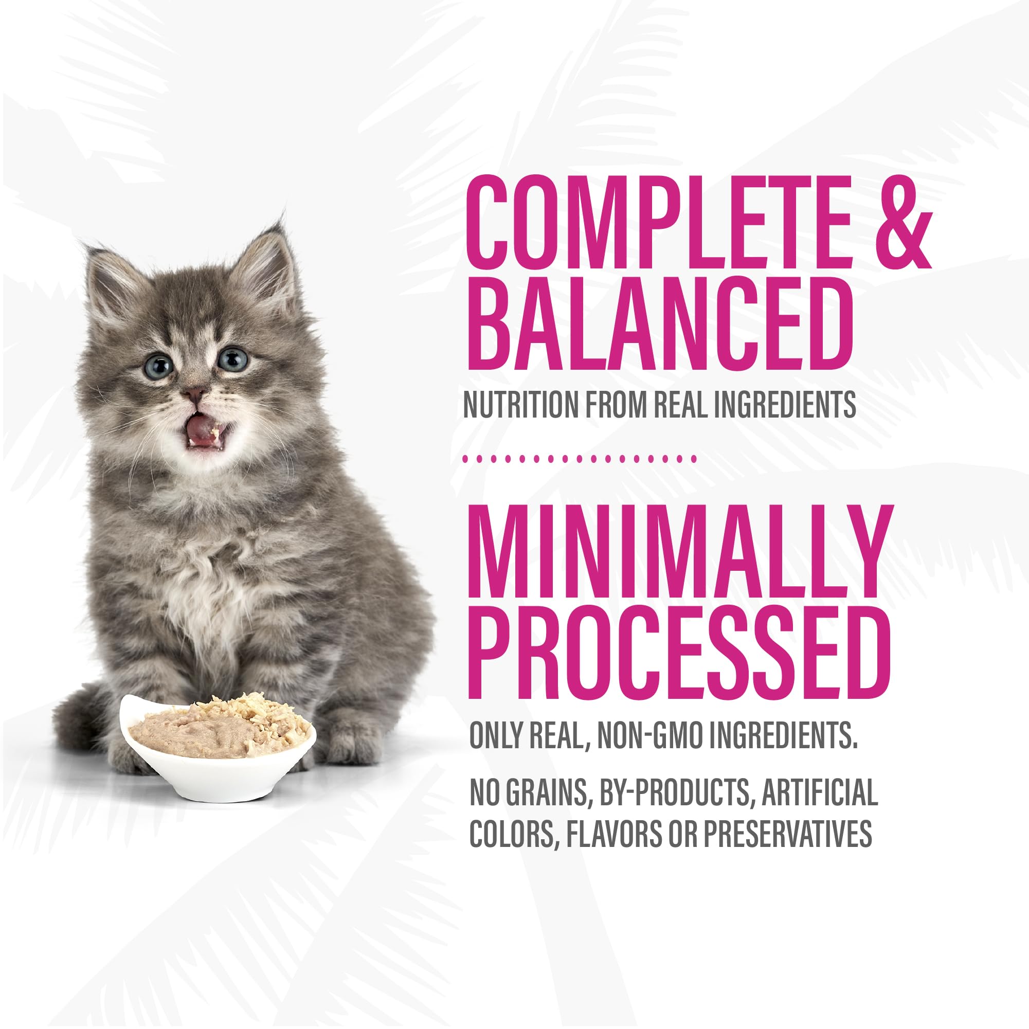 Tiki Cat Baby Pate Wet Cats Food for Kittens, Chicken, Salmon & Chicken Liver, 2.4 oz. Can (12 Count)