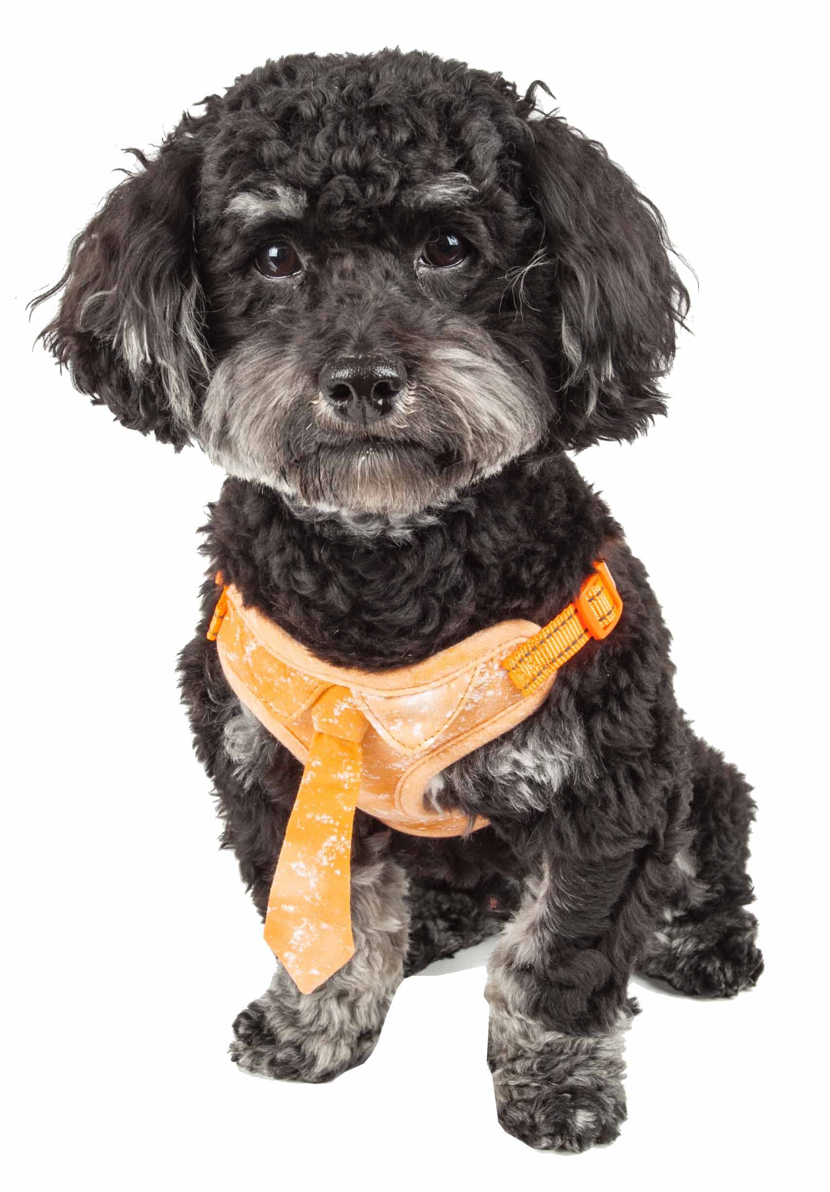 Pet Life ® 'Bonatied' Dog Harness with Built-in Designer Necktie by Dog Collar - Pet Harness with Breathable Micro-mesh and Steel Dog Leash Connecting Loops