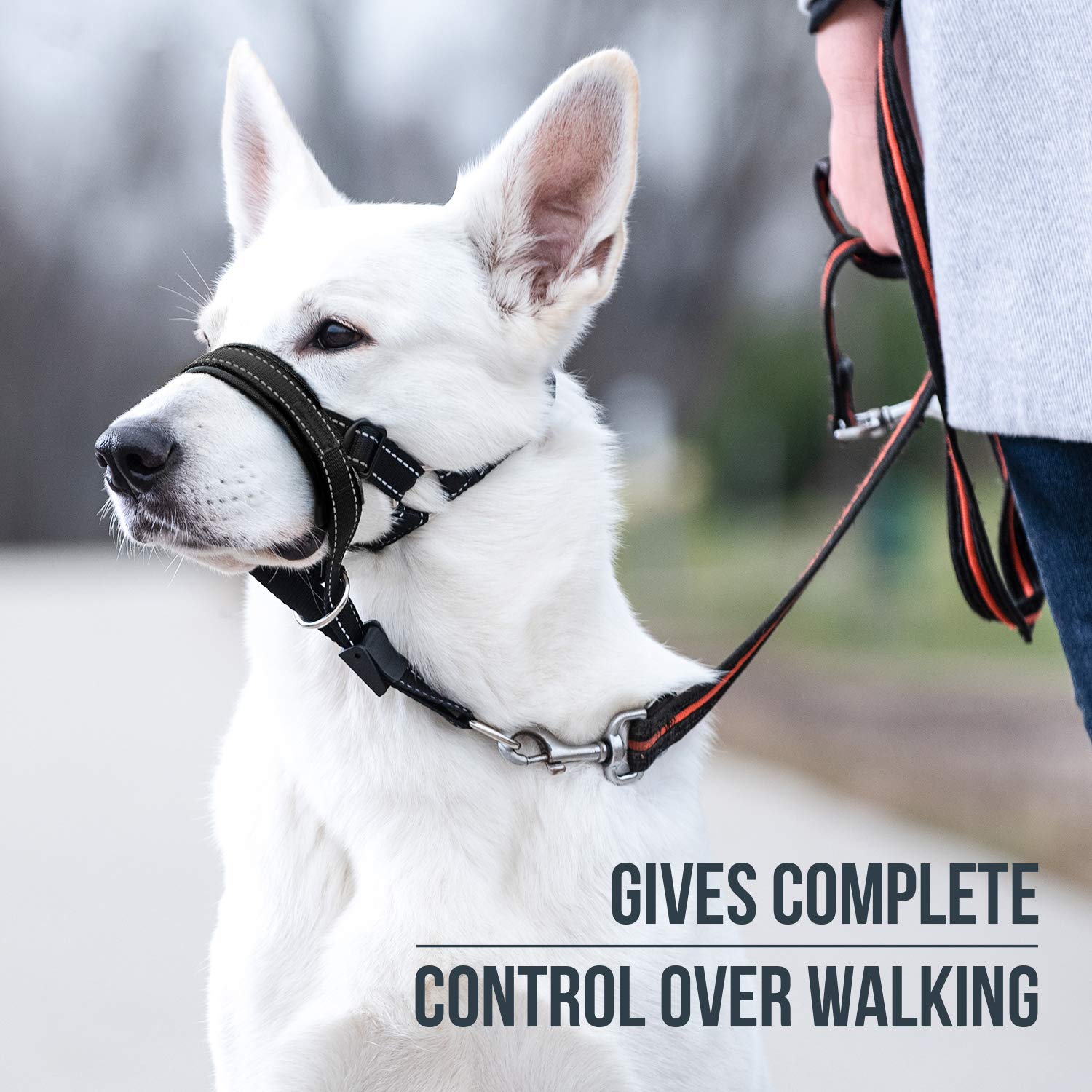 GoodBoy Dog Head Halter - Padded Nylon Leash Trainer, Size 2, Black