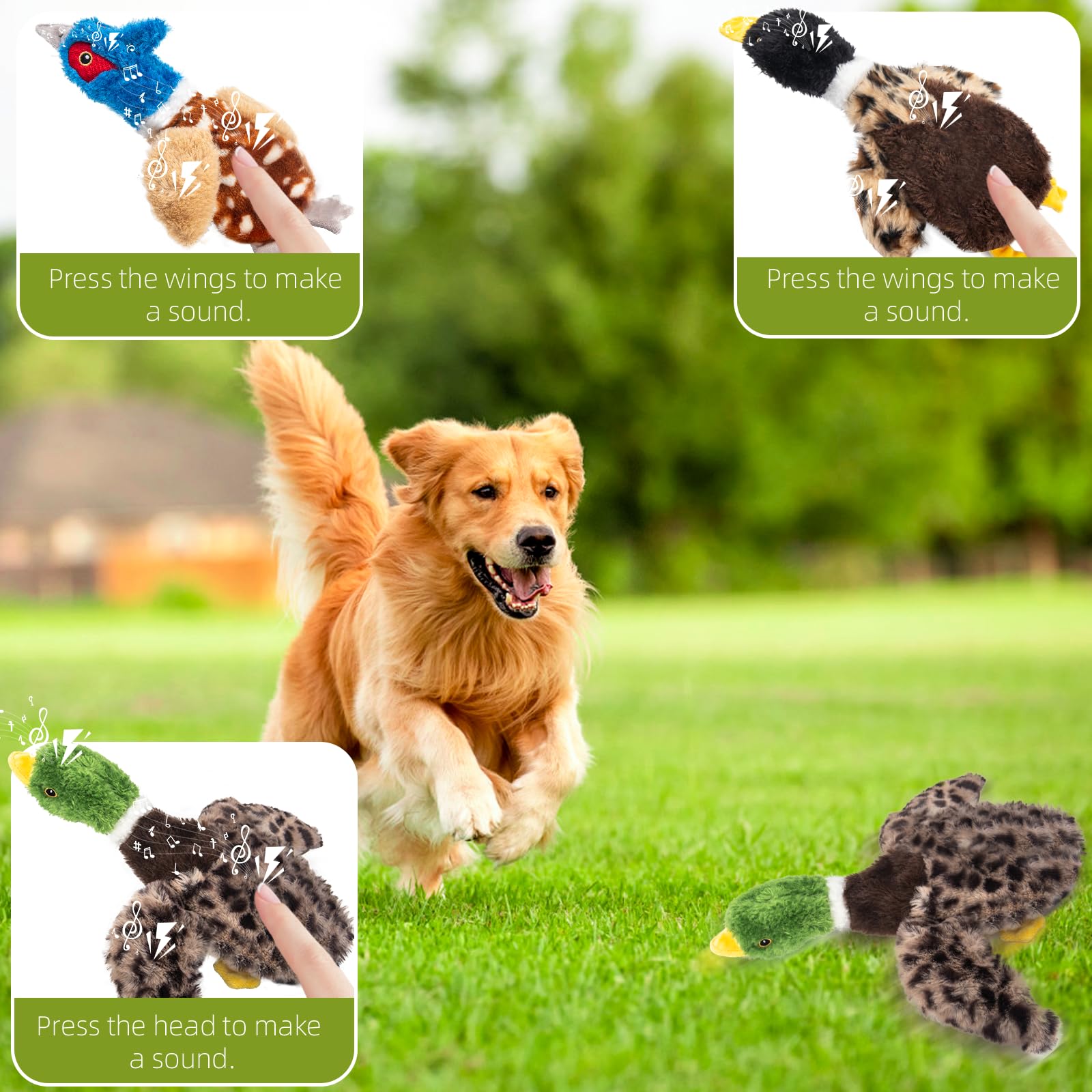 Calibonbon Duck Dog Squeaky Toy for Aggressive Chewers - No Stuffing Durable Plush with 4 Squeakers & Crinkle Wings, Chew Proof