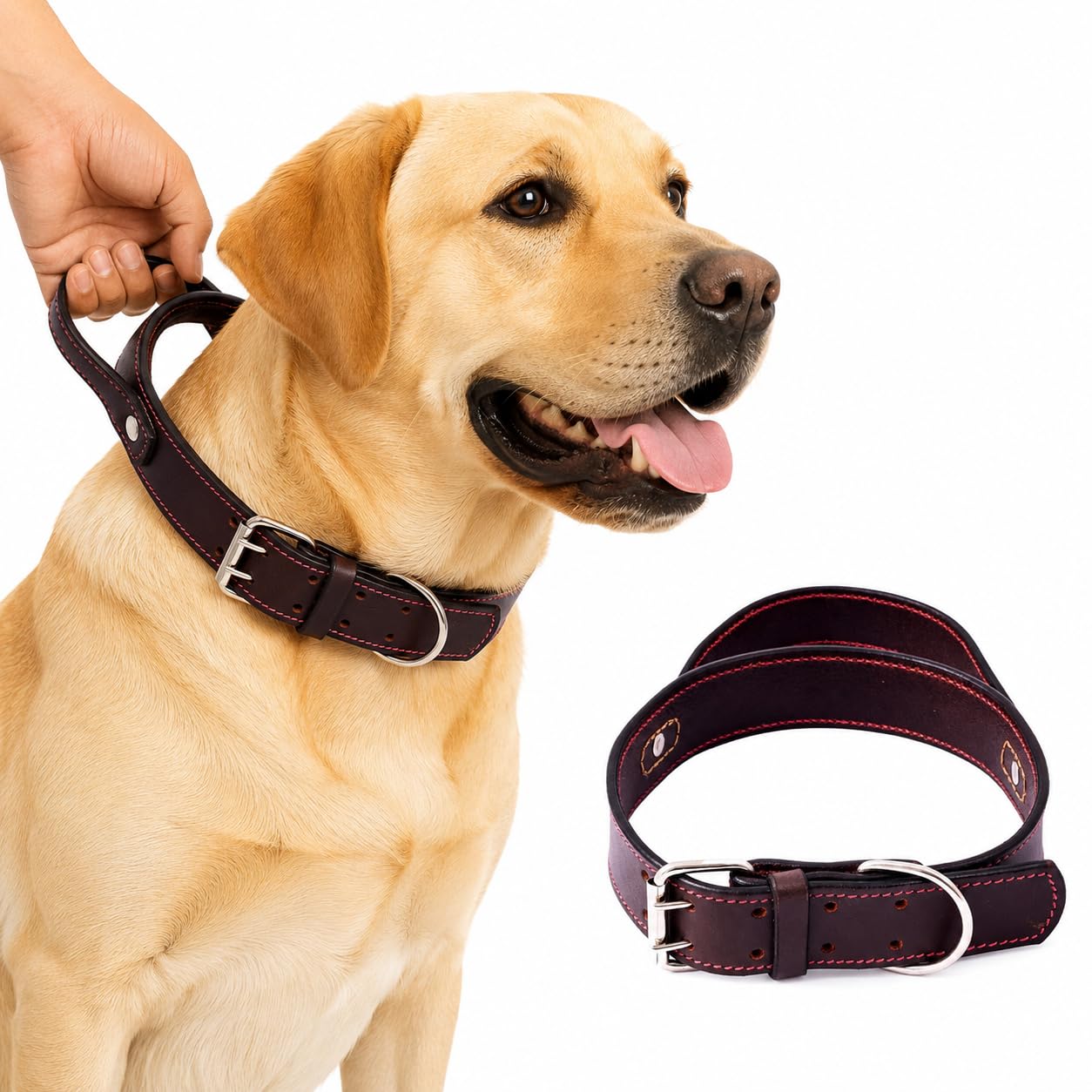 AdilS Dog Genuine Leather Dog Collar With Strap Handle For Small, Medium & Large Dogs, Adjustable Heavy Duty Handle Dog Collar W
