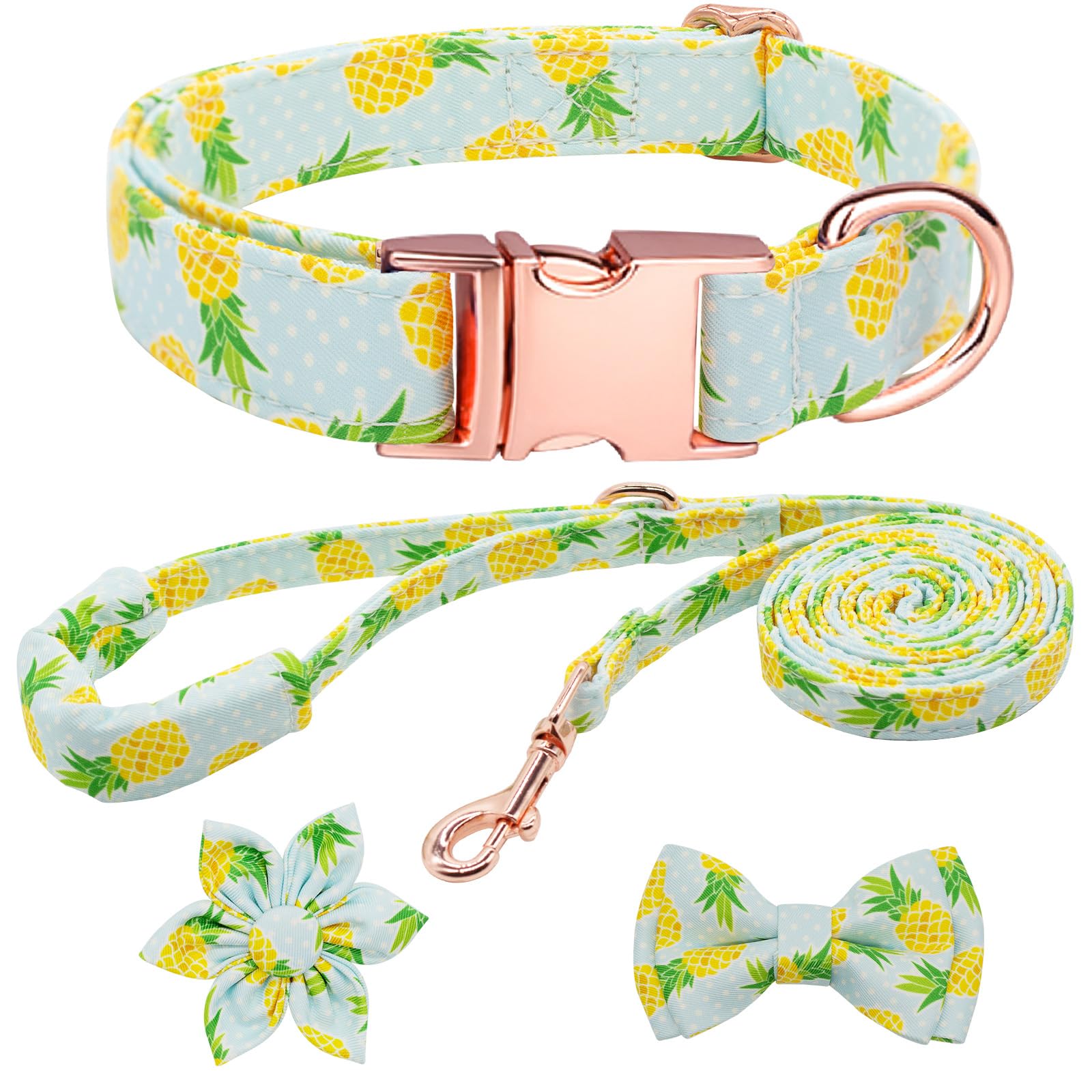 HSIGIO Dog Collar and Leash Set Girls Adjustable Puppy Collars with Fruit Bow Tie for Small Medium Large Female Dogs, Pineapple,
