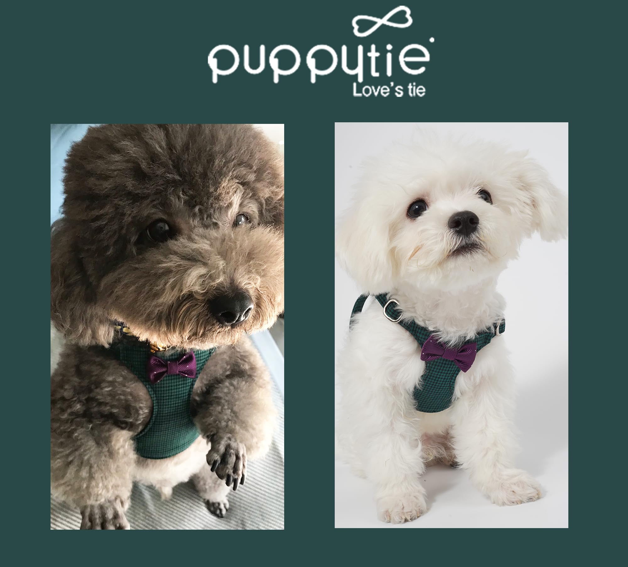 puppytie No Pull Dog Harness with Leash, Soft Faux Suede, XXS (2.2-6lb), Glossy Dark Green, Model A033