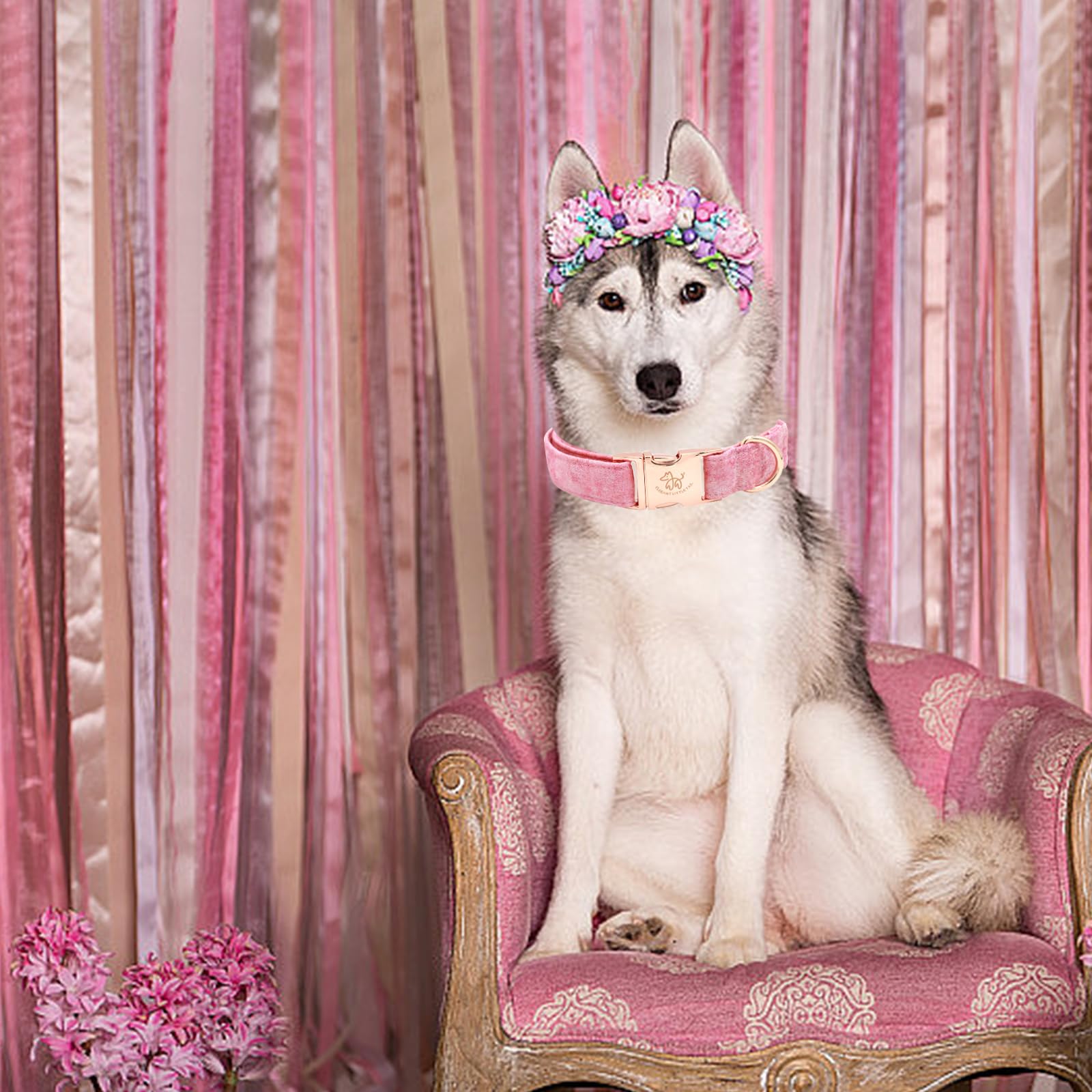 Elegant Little Tail Dog Collar - Pink Print Cotton Pet Collar With Metal Buckle For Large Dogs